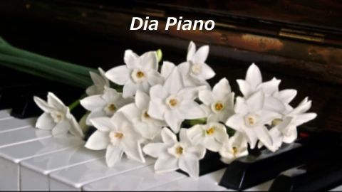 ディアピアノ教室 南14条ピアノルームのメイン画像