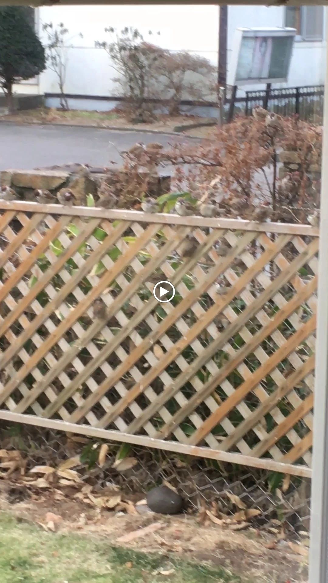 飯田ピアノ教室[北海道] 新中野町教室のサムネイル画像 2