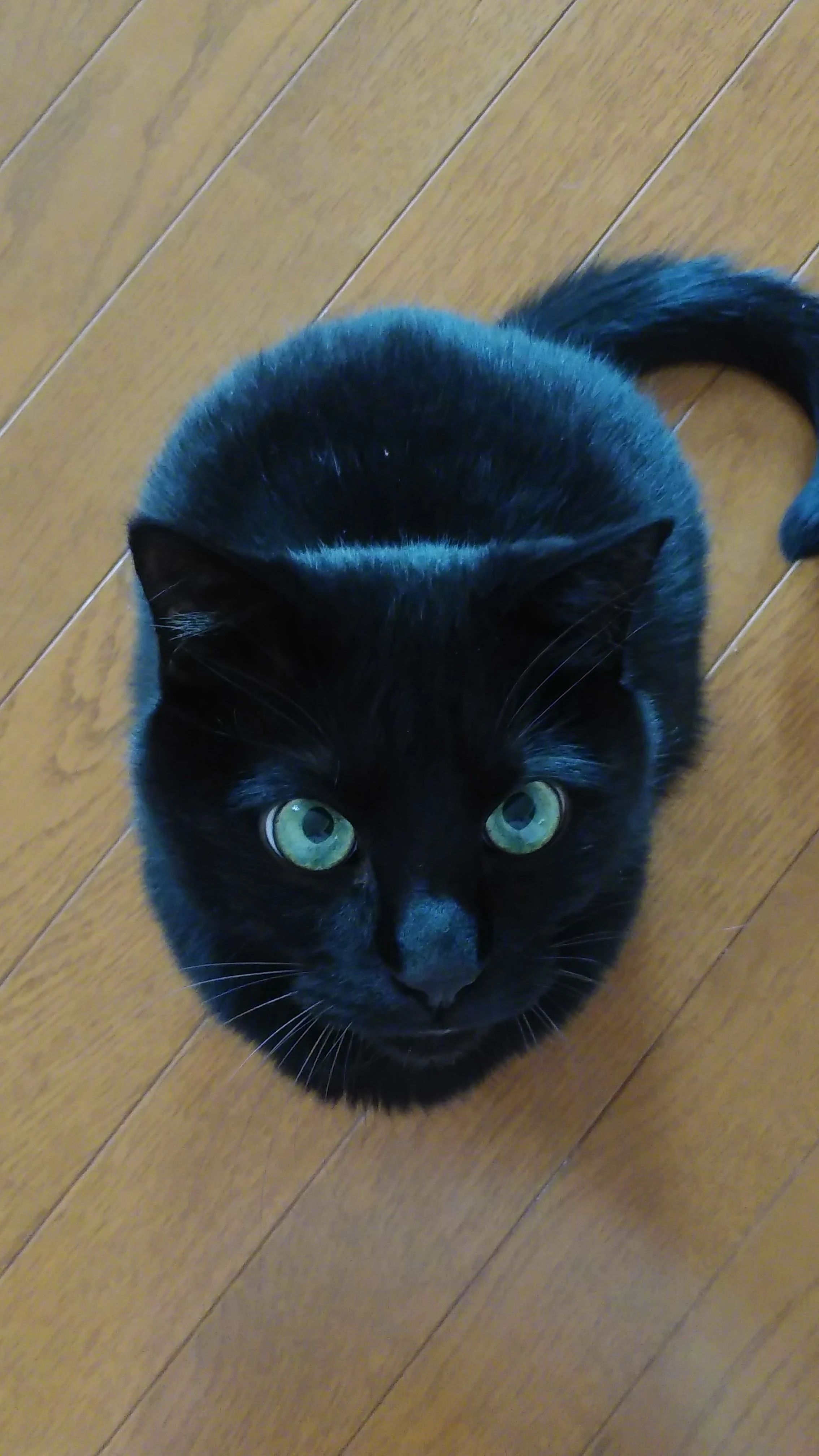 ピアノ教室ASHIZAKI 本校のサムネイル画像 2