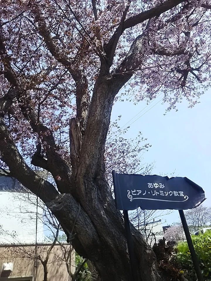 あゆみピアノ・リトミック教室 常盤町教室のメイン画像