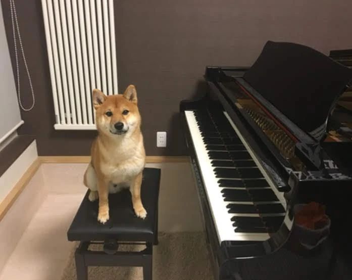 大麻そのまち音楽教室 ピアノ 大麻園教のメイン画像