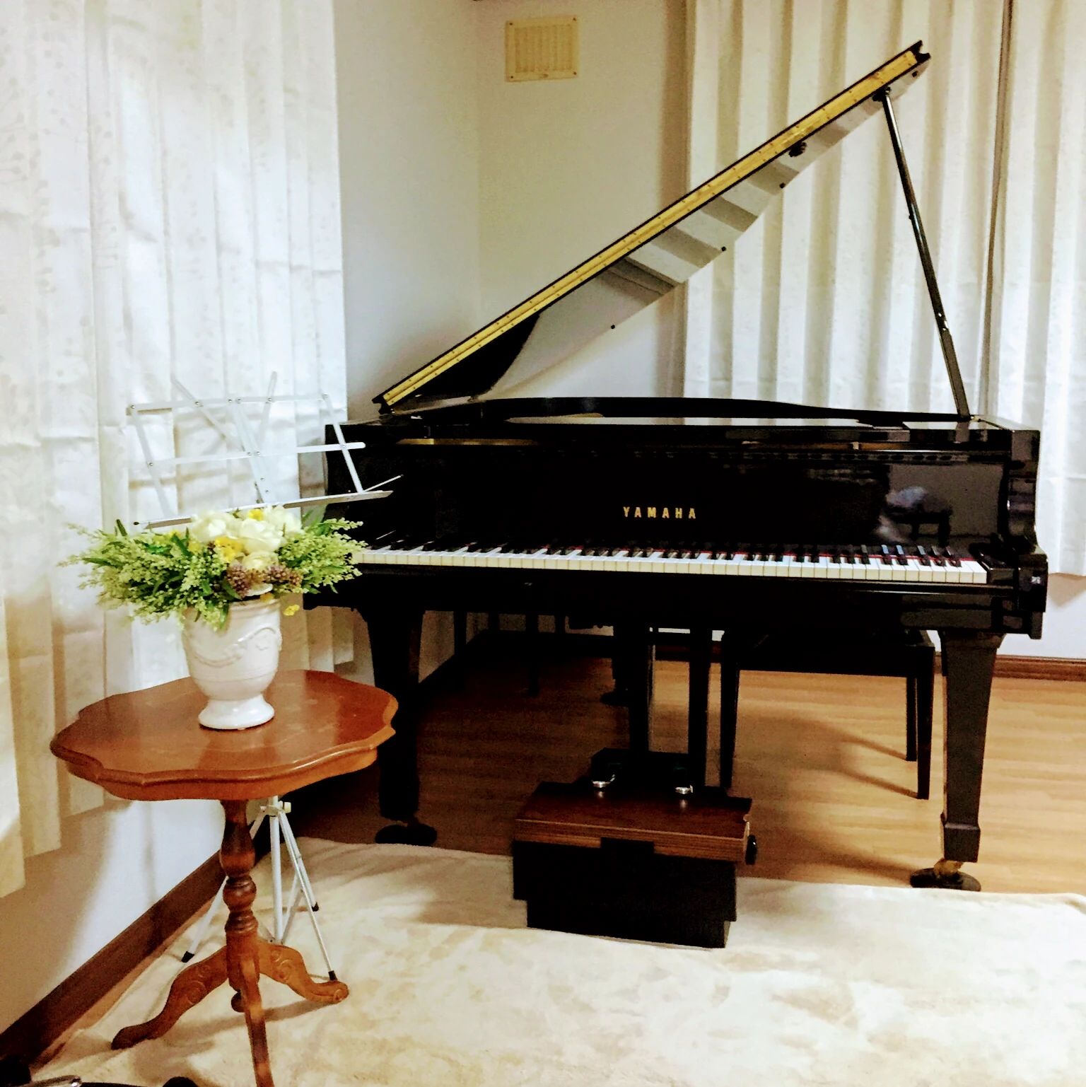 ピアノ教室emu(エミュ) 北47条東教室のサムネイル画像 2