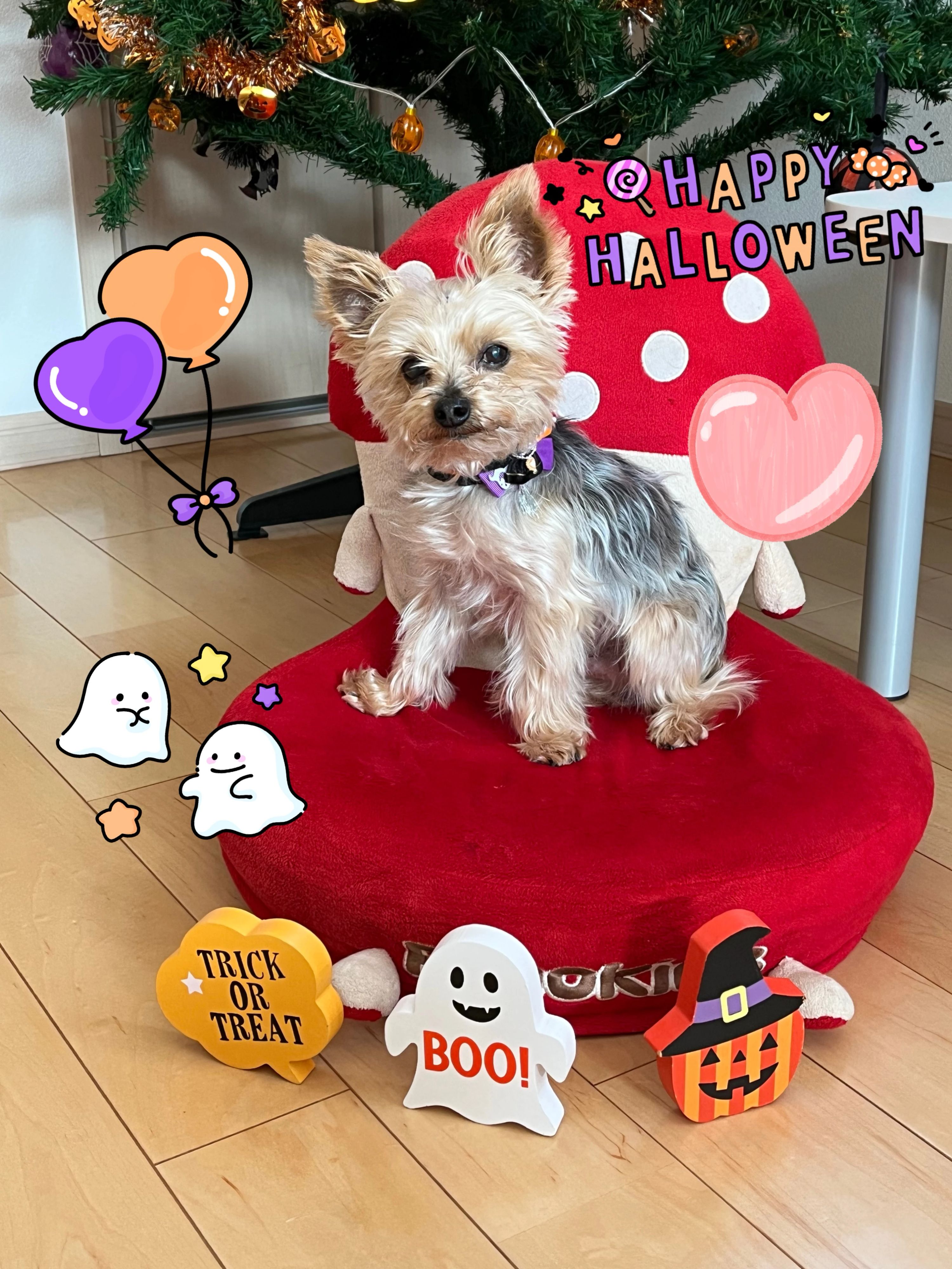 小林エレクトーンピアノ教室 中沼西2条教室のサムネイル画像 3