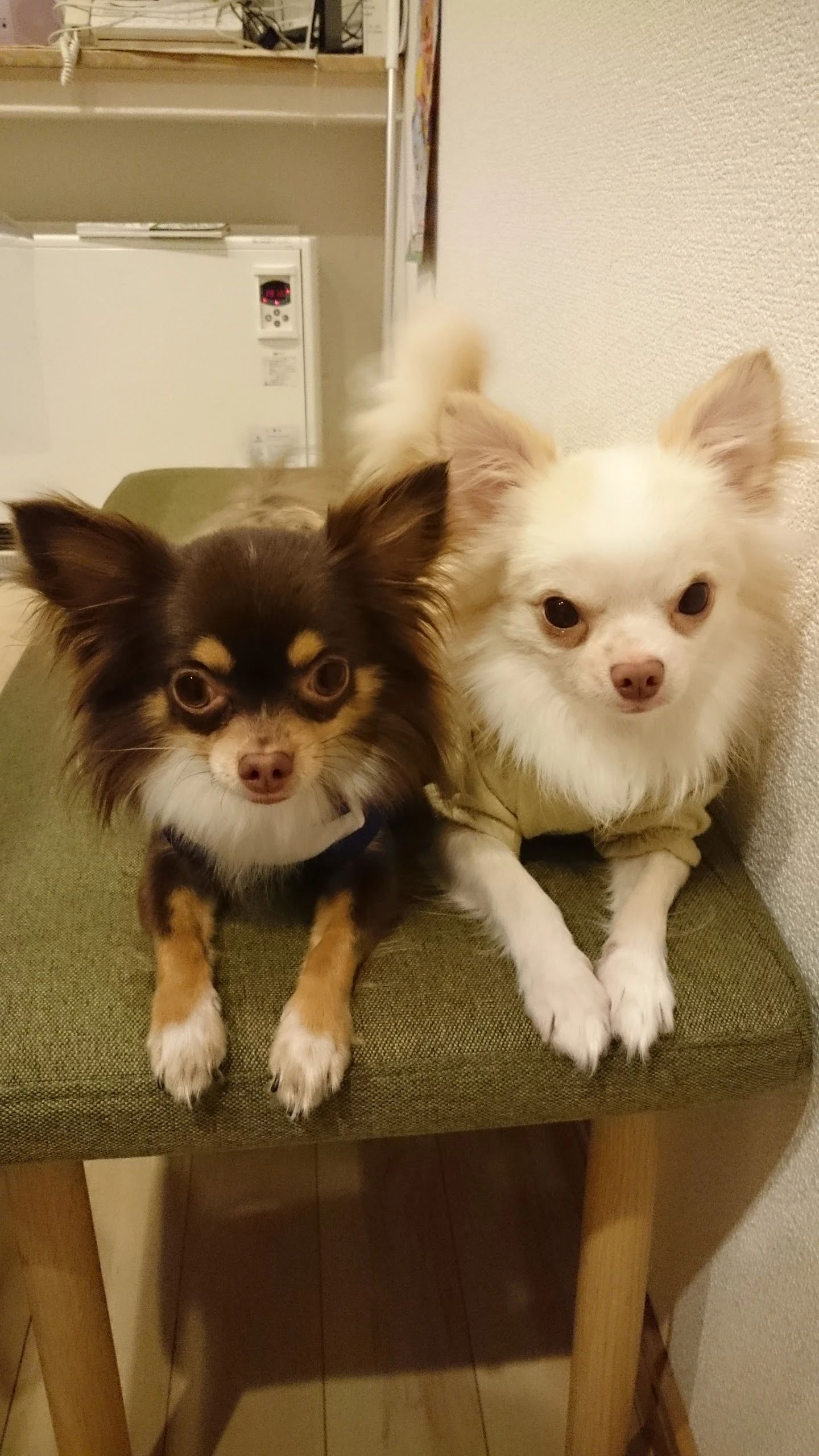 ゆか音楽教室 ピアノ 合浦教室のサムネイル画像 5