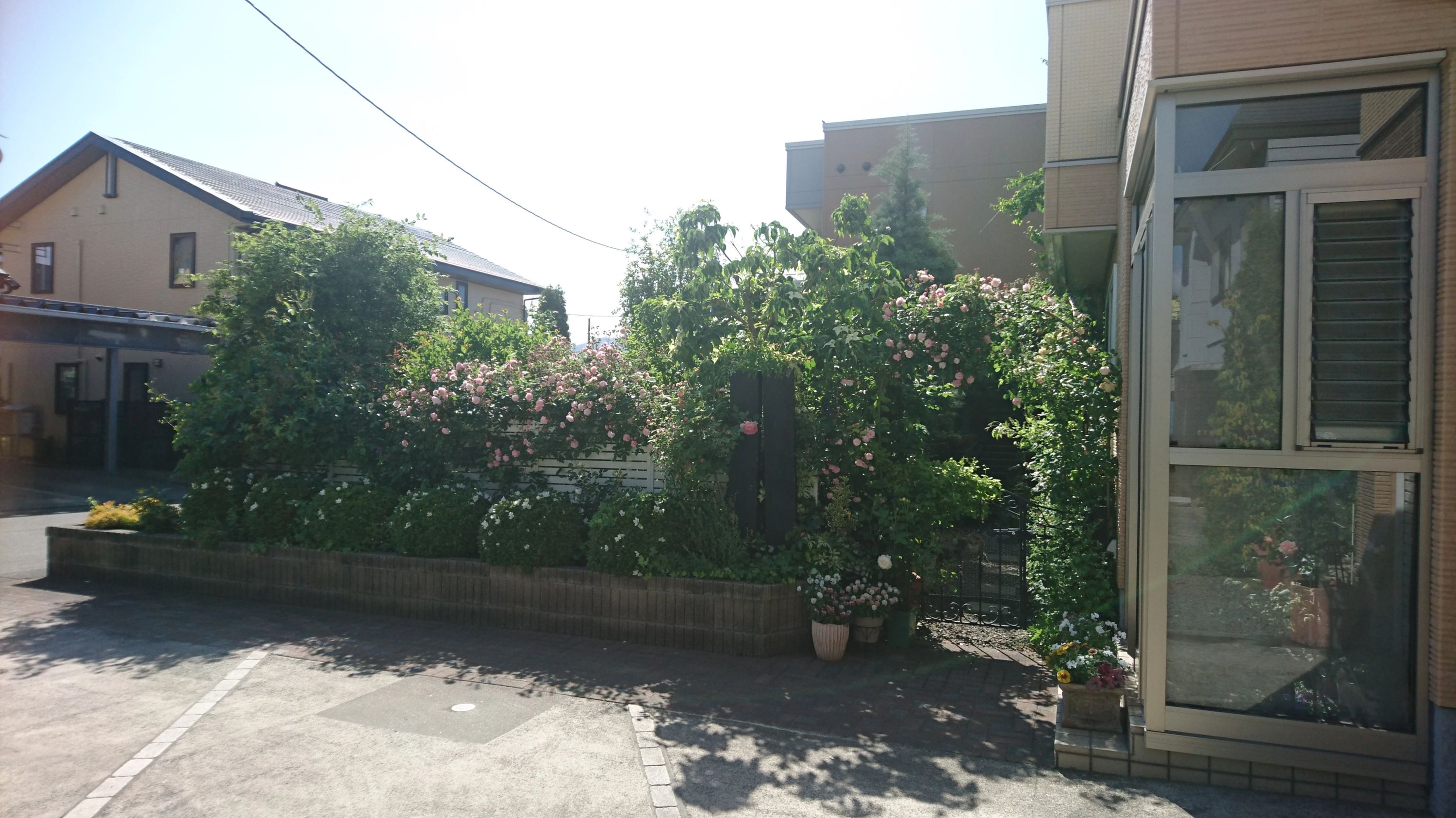 西舘ピアノ教室 野辺地教室のサムネイル画像 3