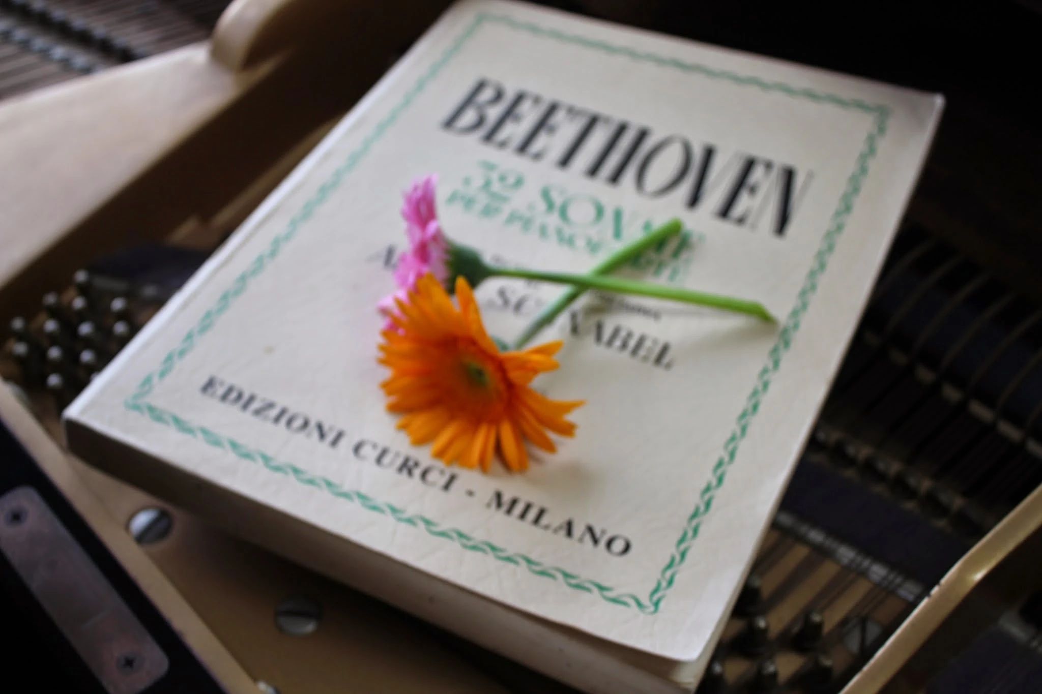 あやピアノ教室 迫町教室のサムネイル画像 3