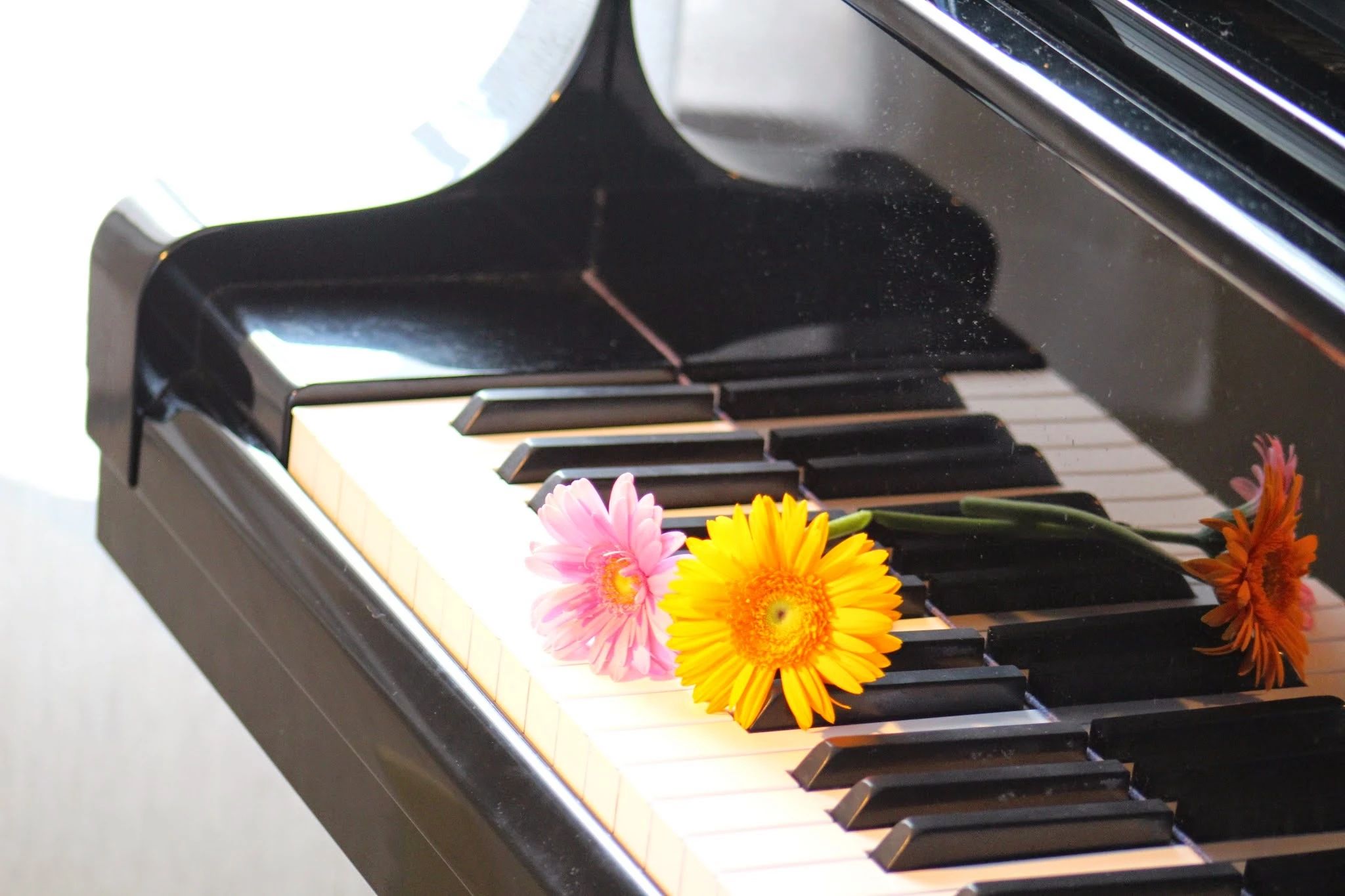 あやピアノ教室 迫町教室のサムネイル画像 2