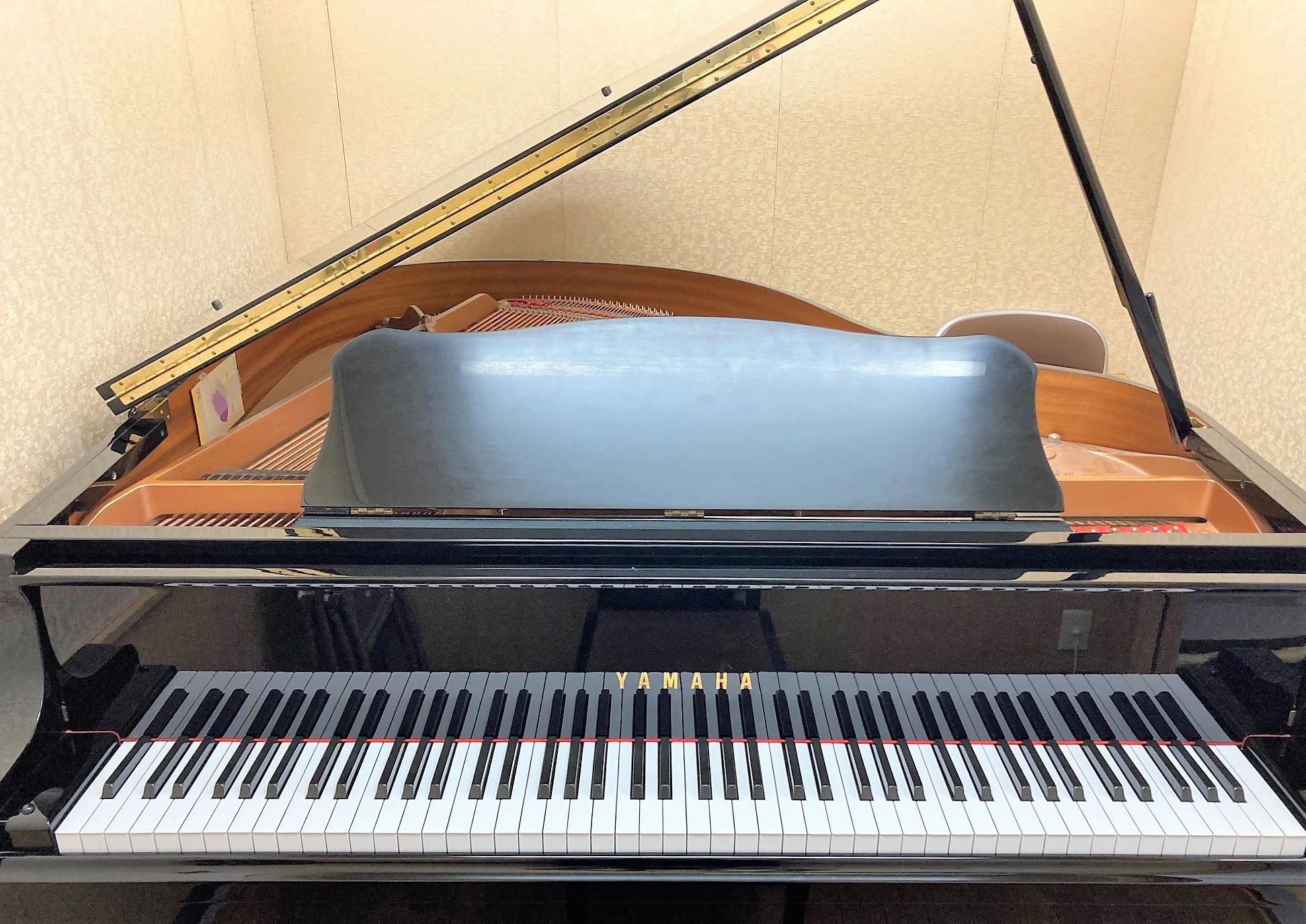 サンリツ楽器 音楽教室 ピアノ はーもにーらんど柳生のサムネイル画像 2