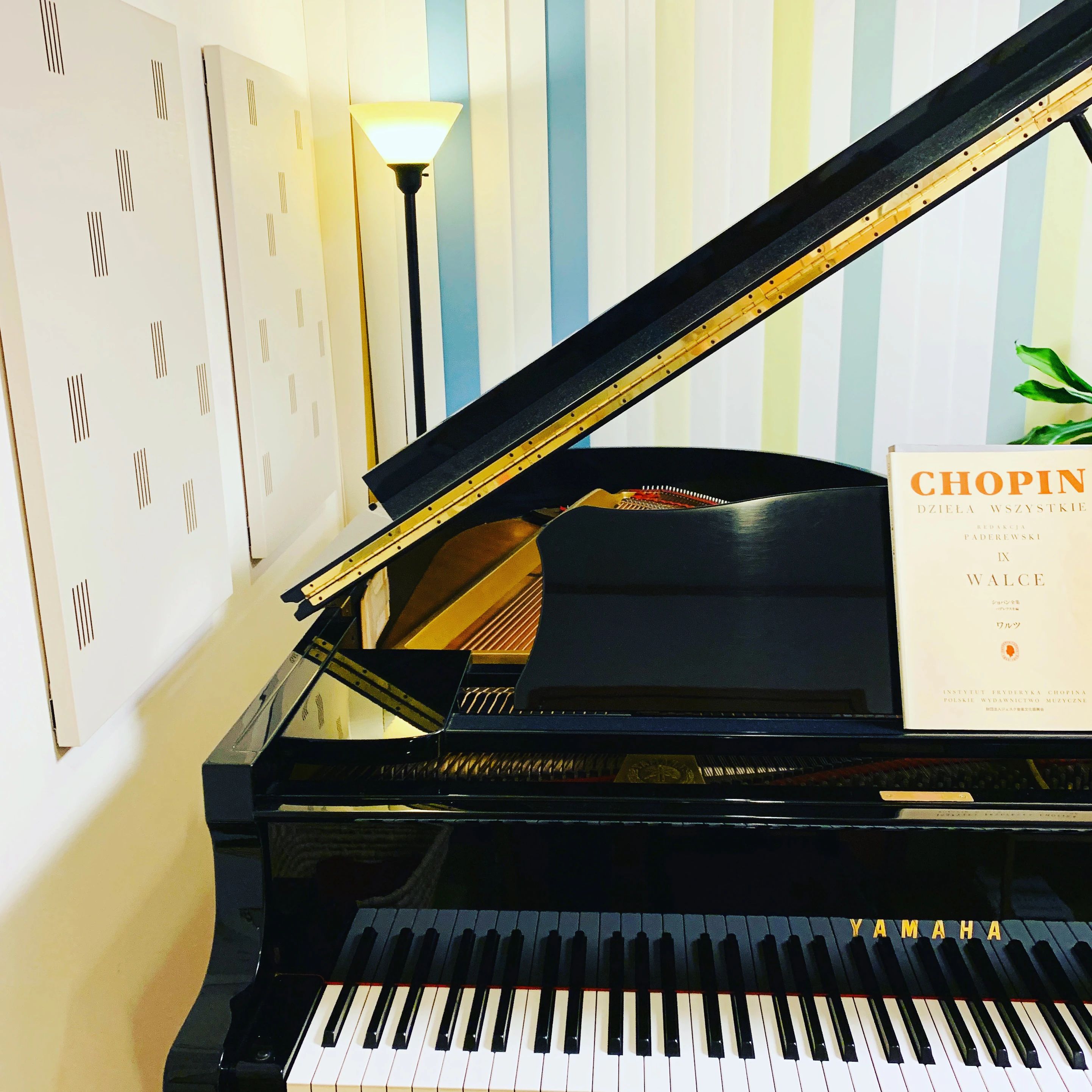 佐々木世寿ピアノ教室 国見ヶ丘教室のサムネイル画像 3