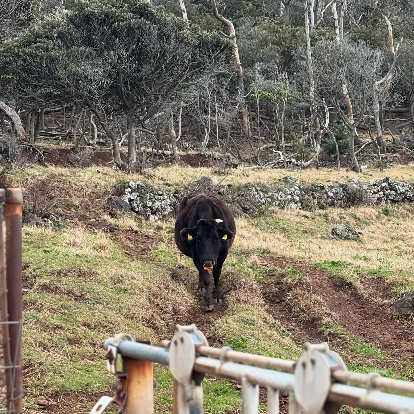 DOLCE(ドルチェ) ピアノ 西原町教室のサムネイル画像 3