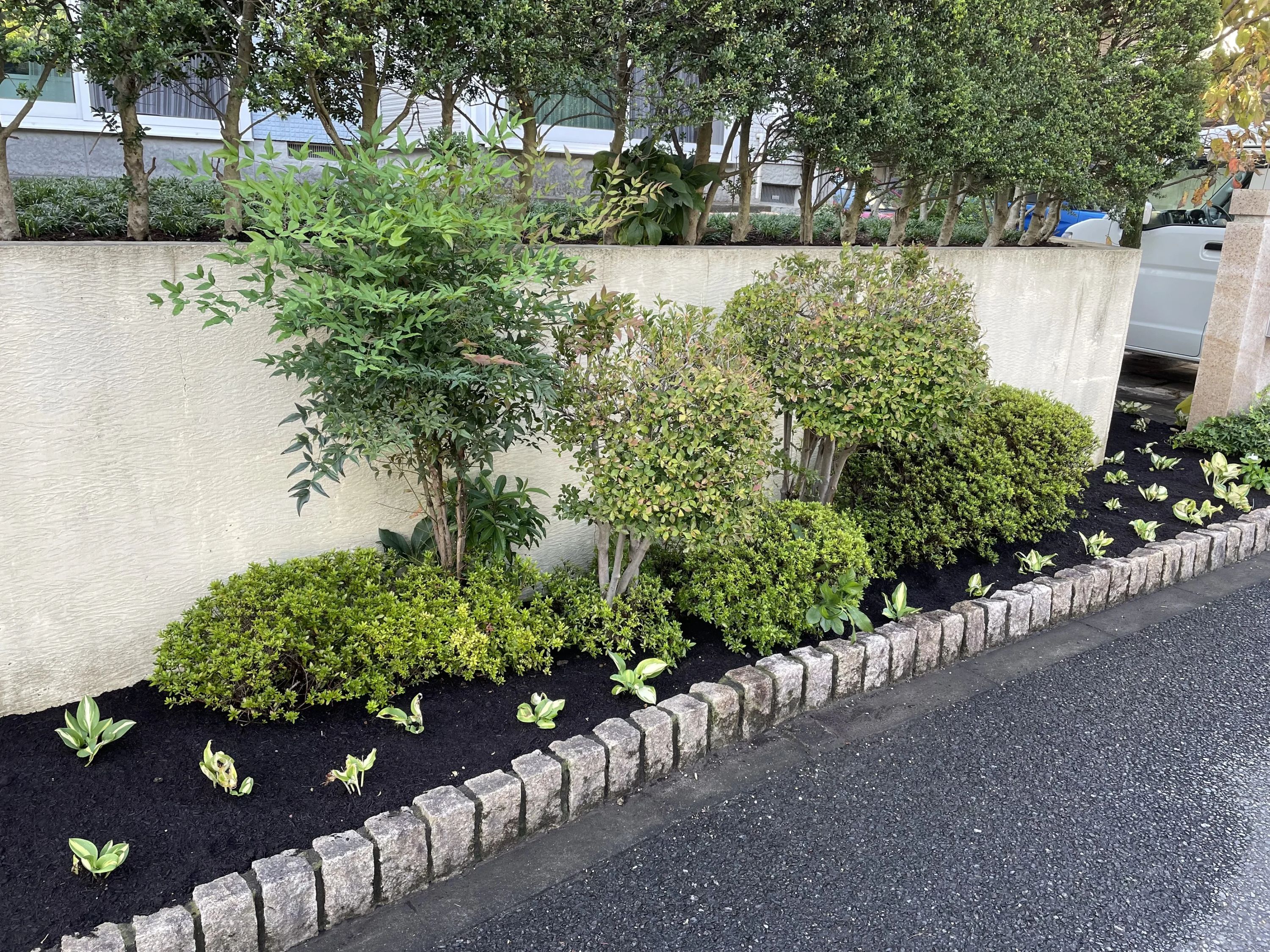 Kosugi music room ピアノ 若葉台教室のサムネイル画像 2