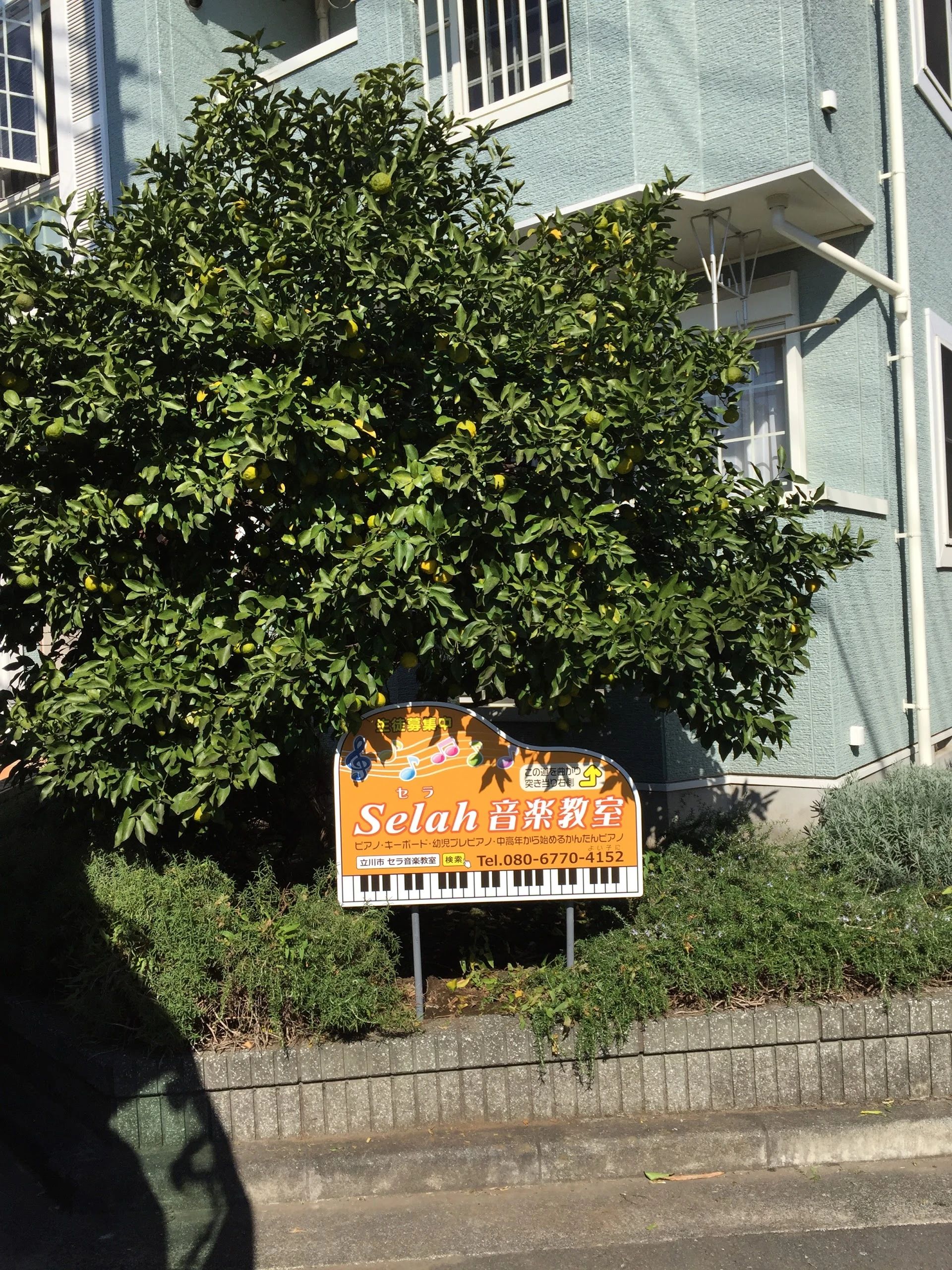 selah(セラ)音楽教室 ピアノ 上砂教室のサムネイル画像 5