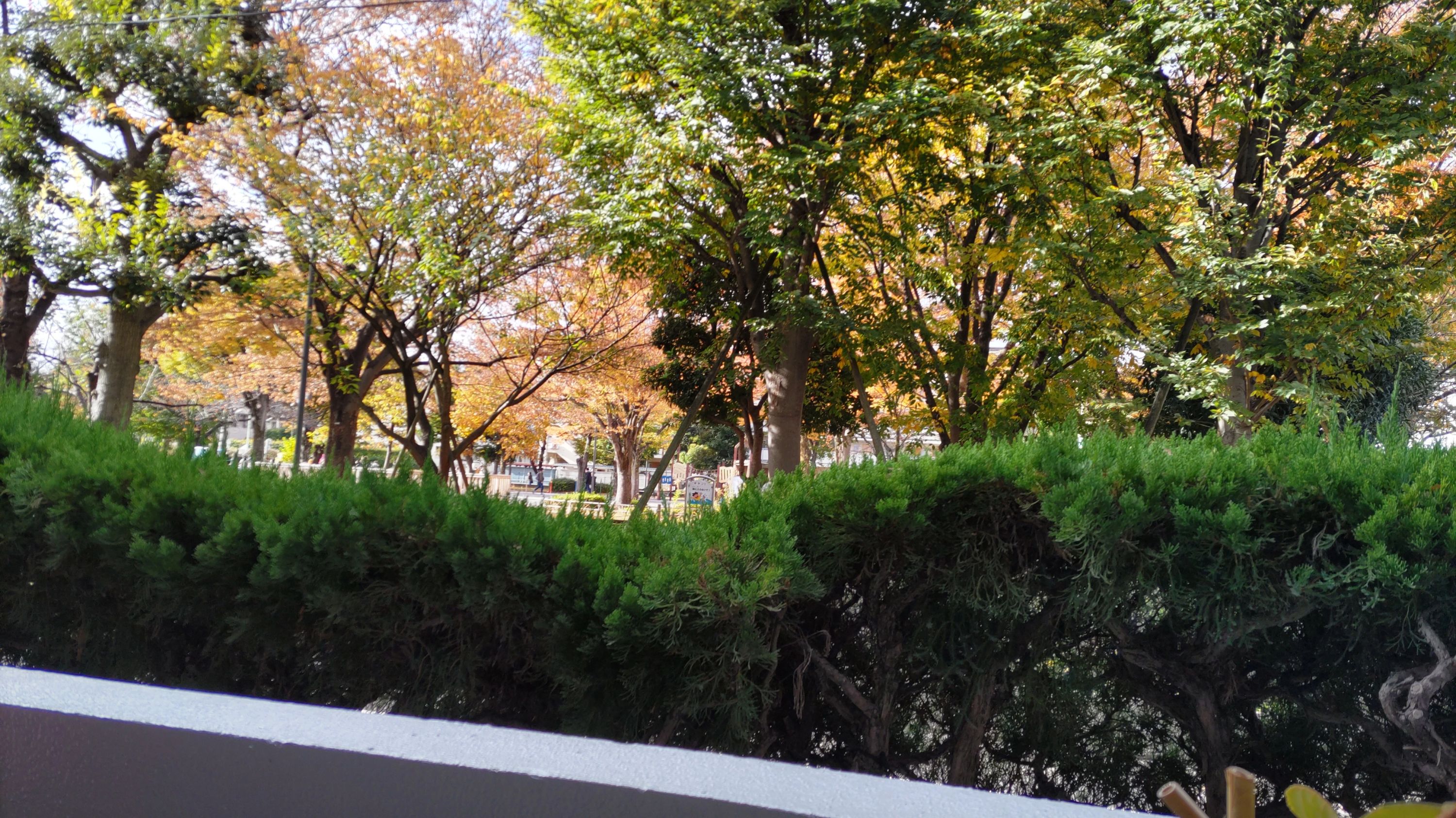 田中音楽教室[東京都] ピアノ 金町公園前教室のサムネイル画像 2