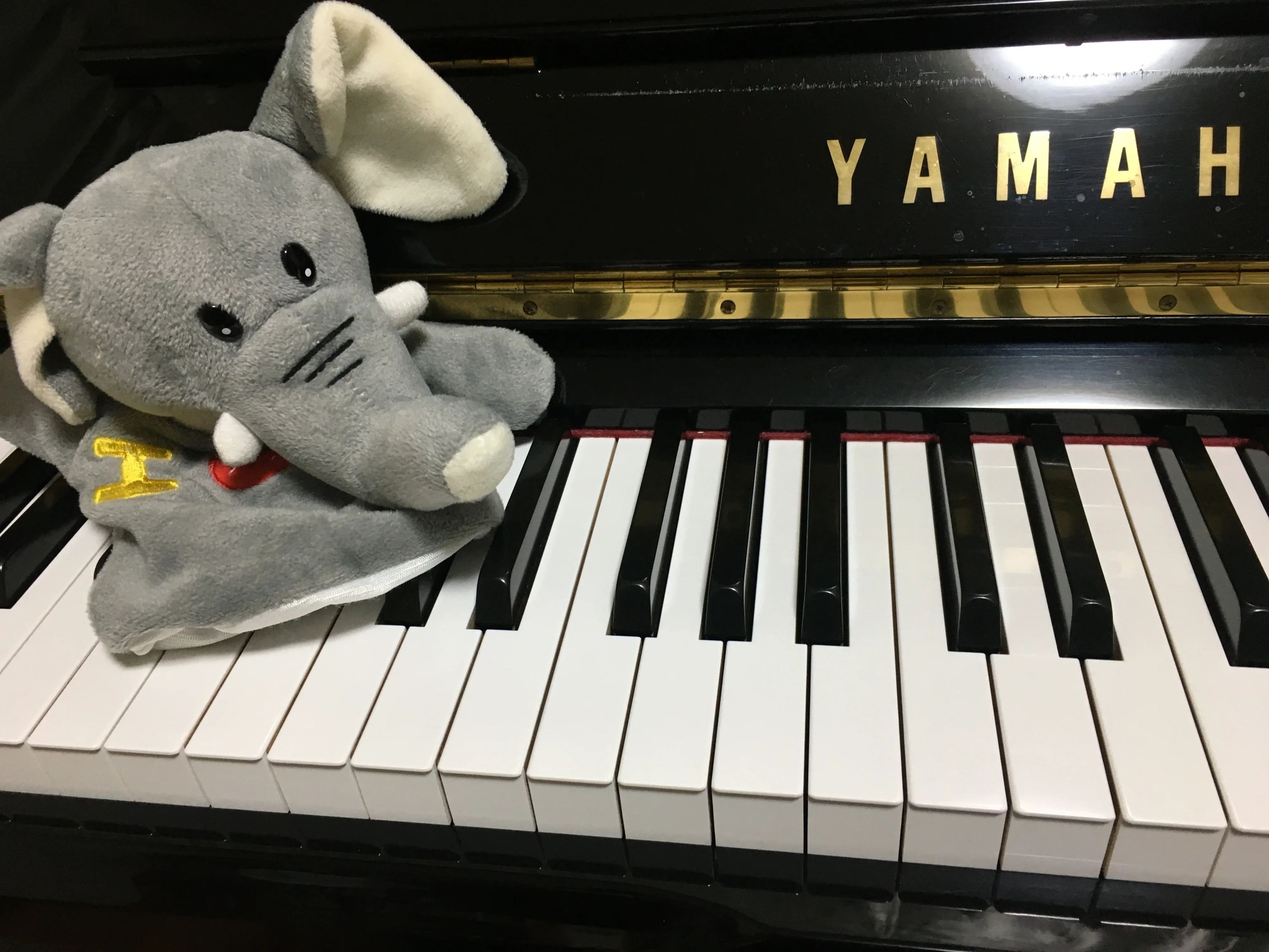 たかやま音楽教室 ピアノ 南大泉教室のメイン画像