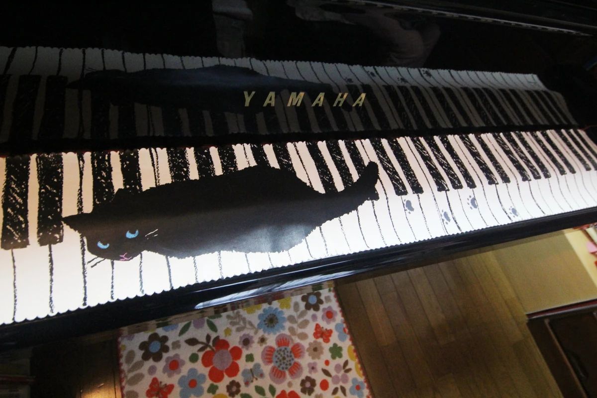 MY MUSIC ピアノ 白鷺教室のサムネイル画像 2