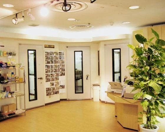 島村楽器 ピアノ ミュージックサロンパトリア西葛西のサムネイル画像 4