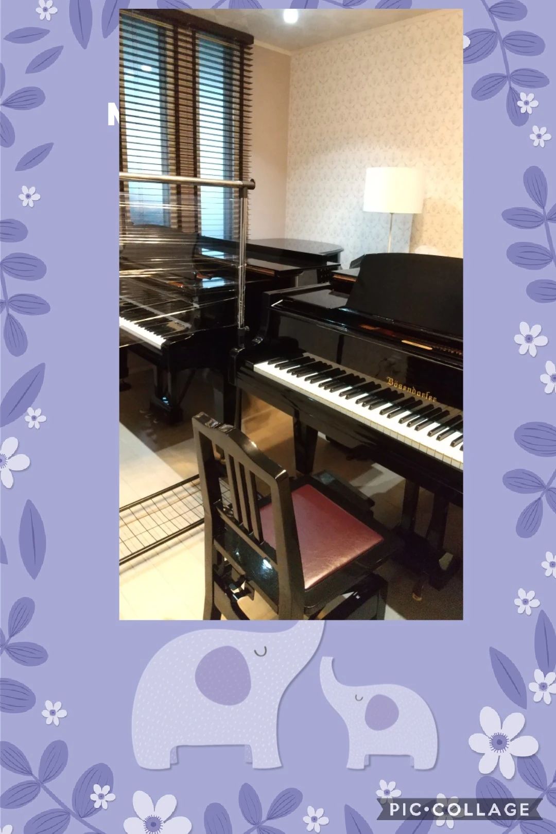 しらさぎピアノ教室 白鷺教室のサムネイル画像 2