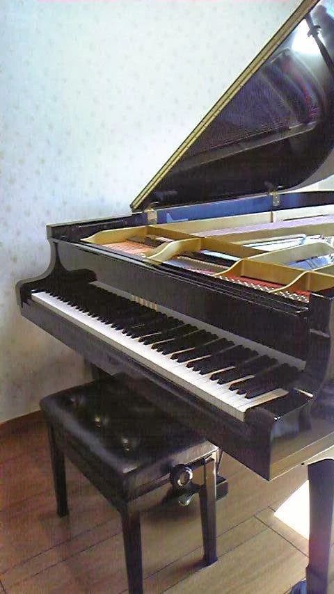 酒井ピアノ教室 久が原教室のメイン画像