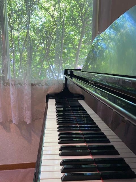 L'Air de La... (レードゥ・ラ) ピアノ 田園調布教室のメイン画像