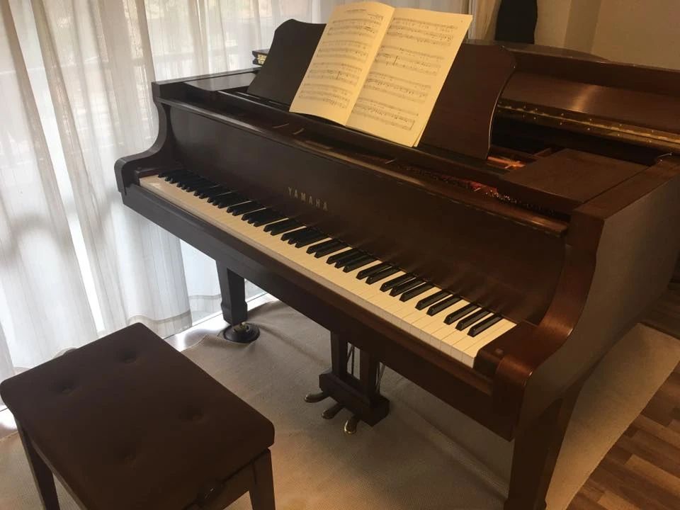 音楽教室ソラーレ ピアノ 練馬桜台教室のサムネイル画像 2