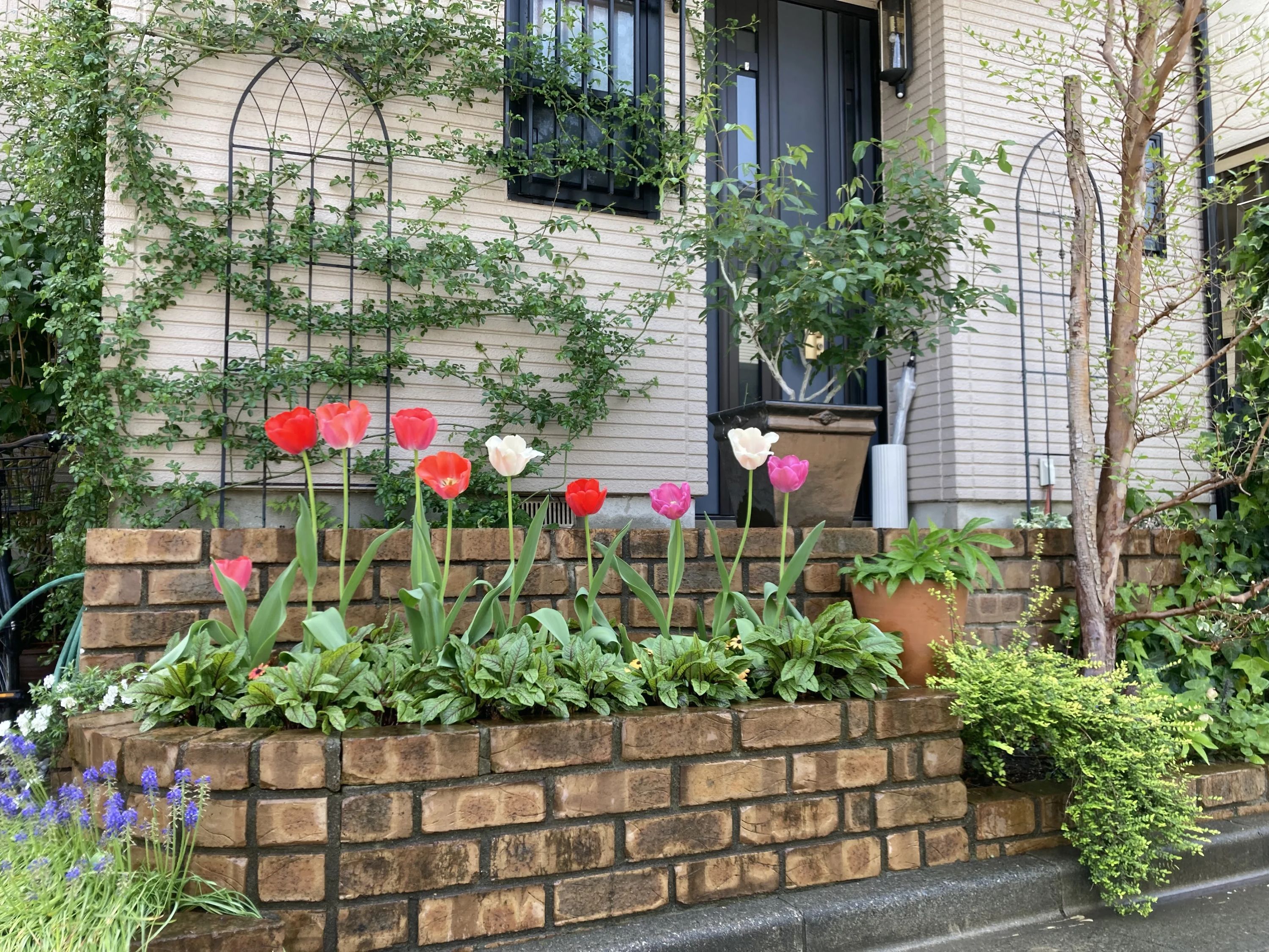 なかつじピアノ教室 新川町教室のサムネイル画像 3