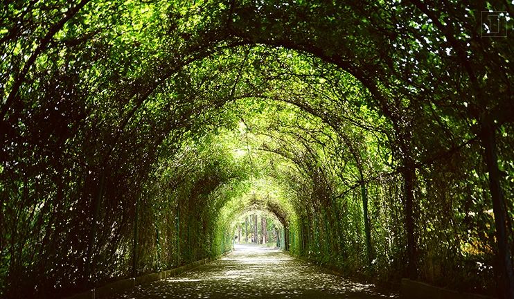 AREV ARTS(アレーヴ・アーツ) MUSIC SCHOOL ピアノ 世田谷教室（本校）のメイン画像