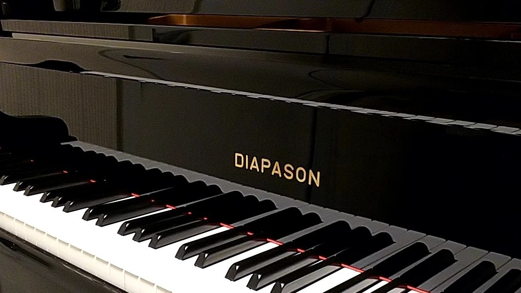 ピアノ教室D･I･A･PASON 上砂町教室のサムネイル画像 5