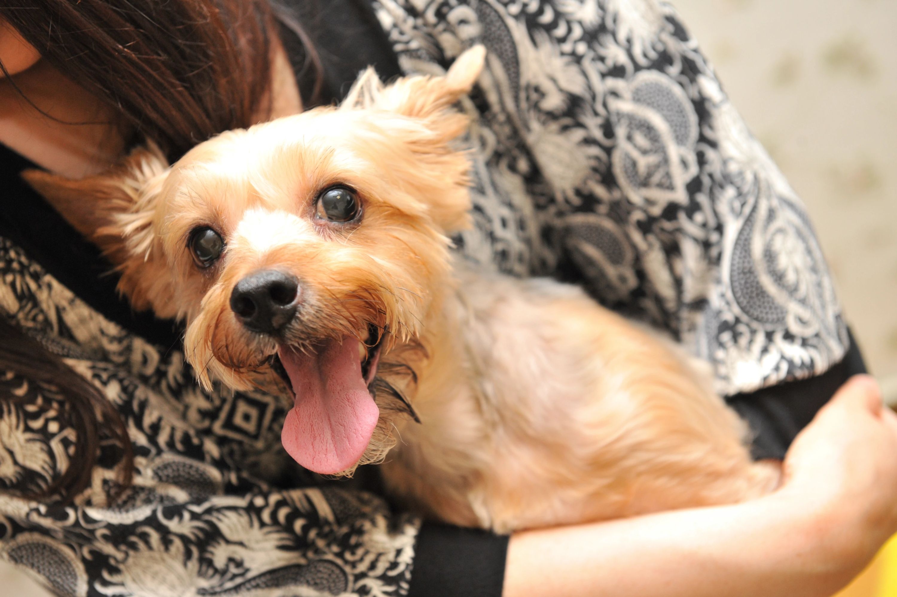 ピアノ教室・K 貫井教室のサムネイル画像 3