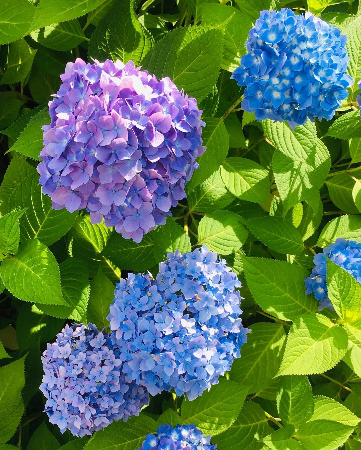 きりとうピアノ教室 井の頭教室のメイン画像