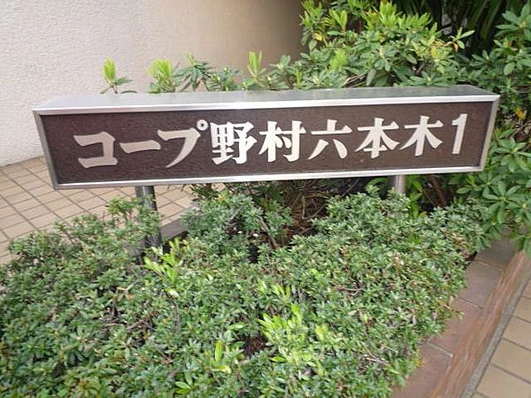 セシリア音楽教室 ピアノ 東京・六本木教室のサムネイル画像 2