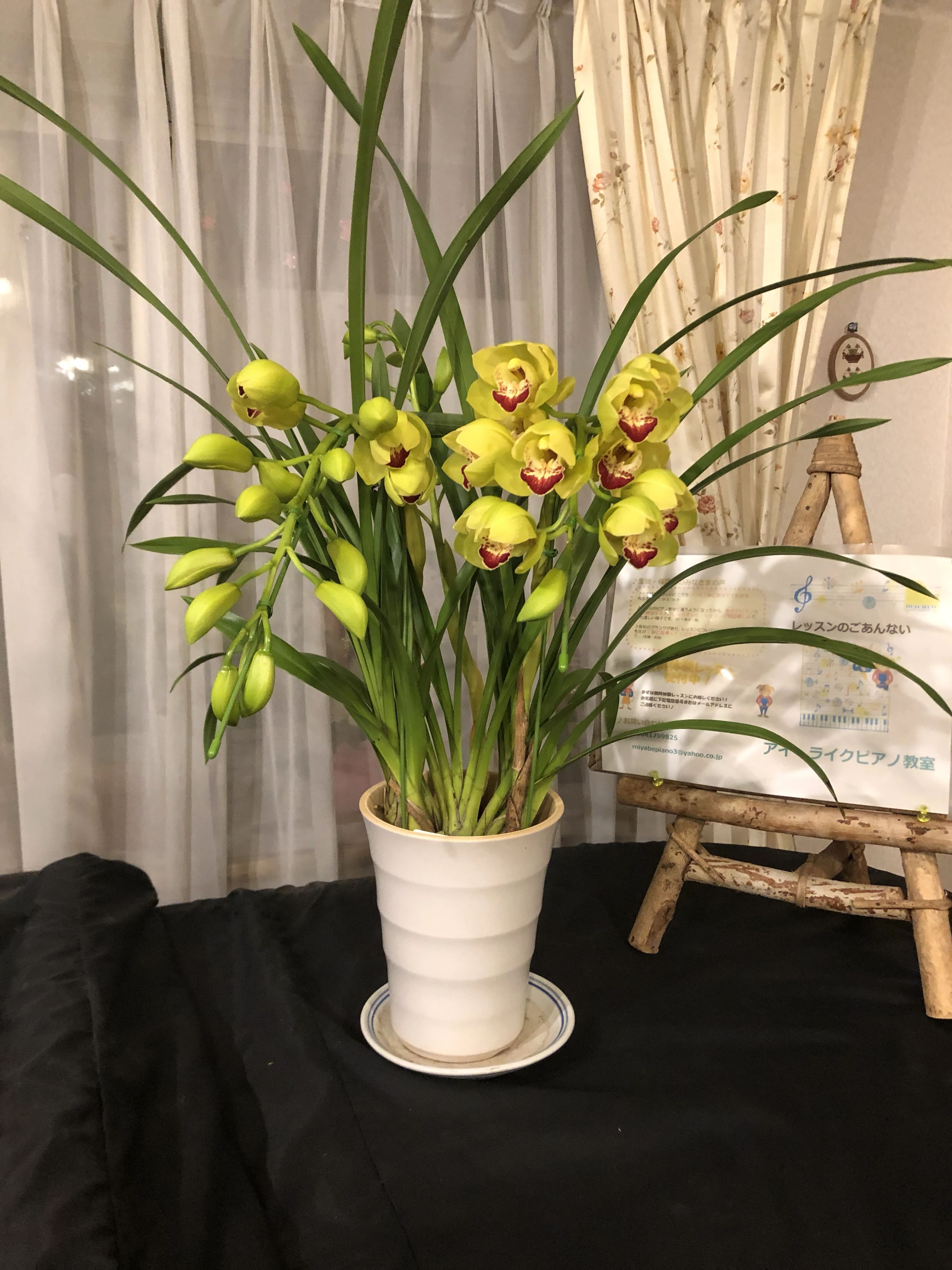 アイ・ライクピアノ教室 西尾久教室のサムネイル画像 4