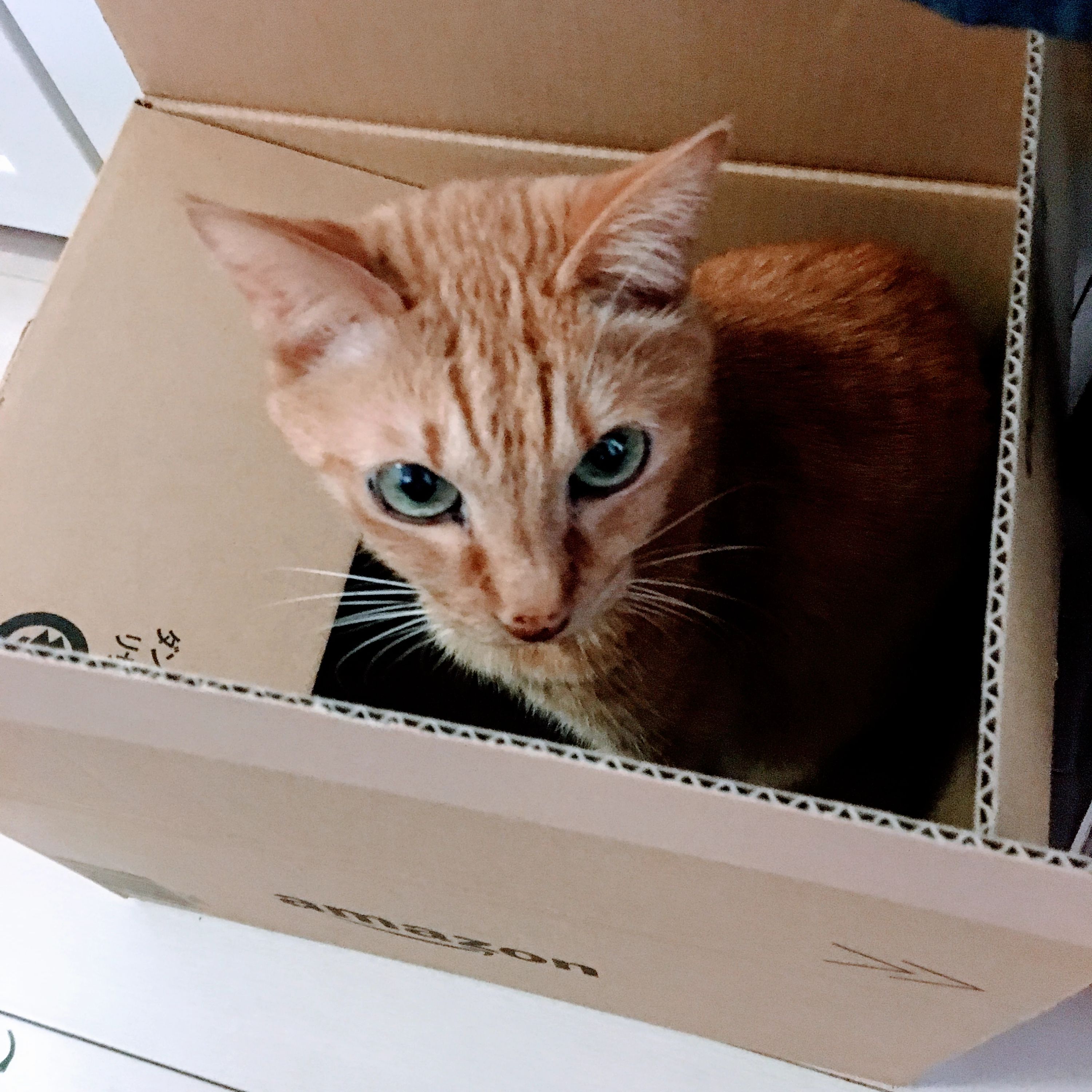 高島ピアノ塾 竜泉教室のメイン画像