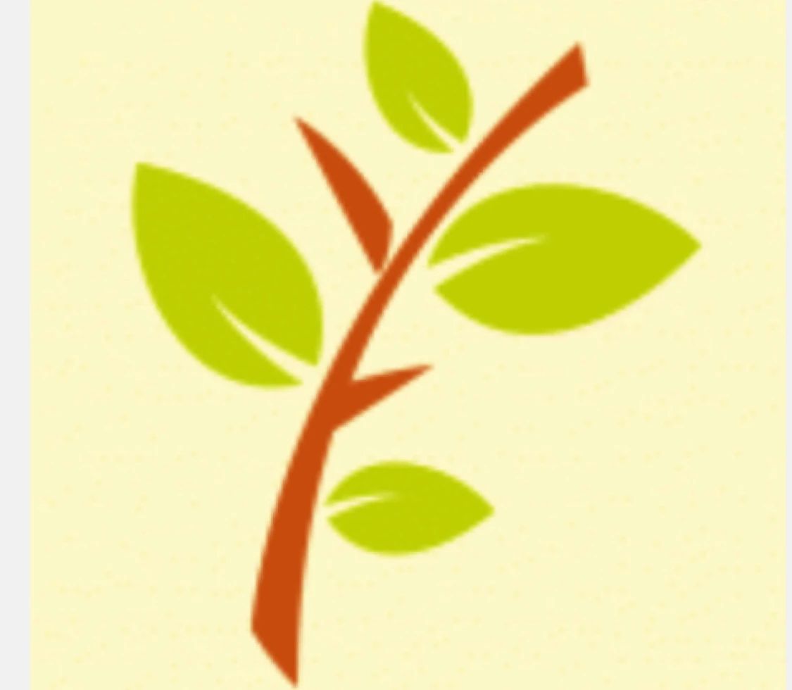 小枝ピアノ教室 青葉台教室のサムネイル画像 3