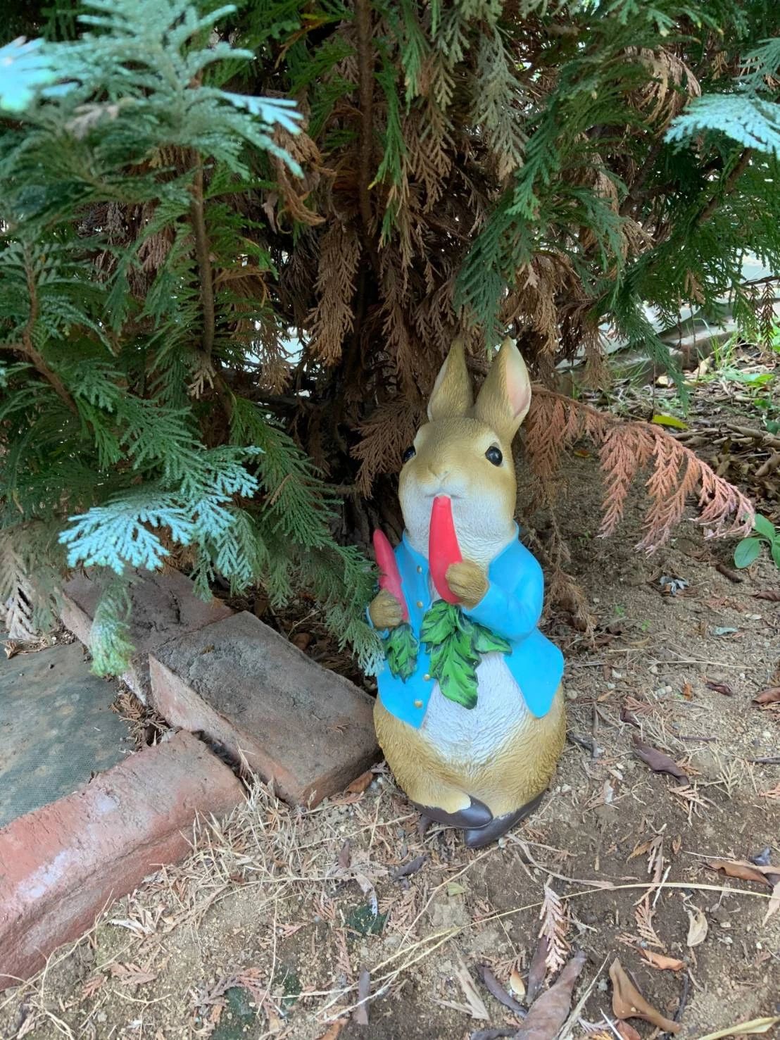 ひめたけピアノ・リトミック教室 北沢教室のサムネイル画像 2