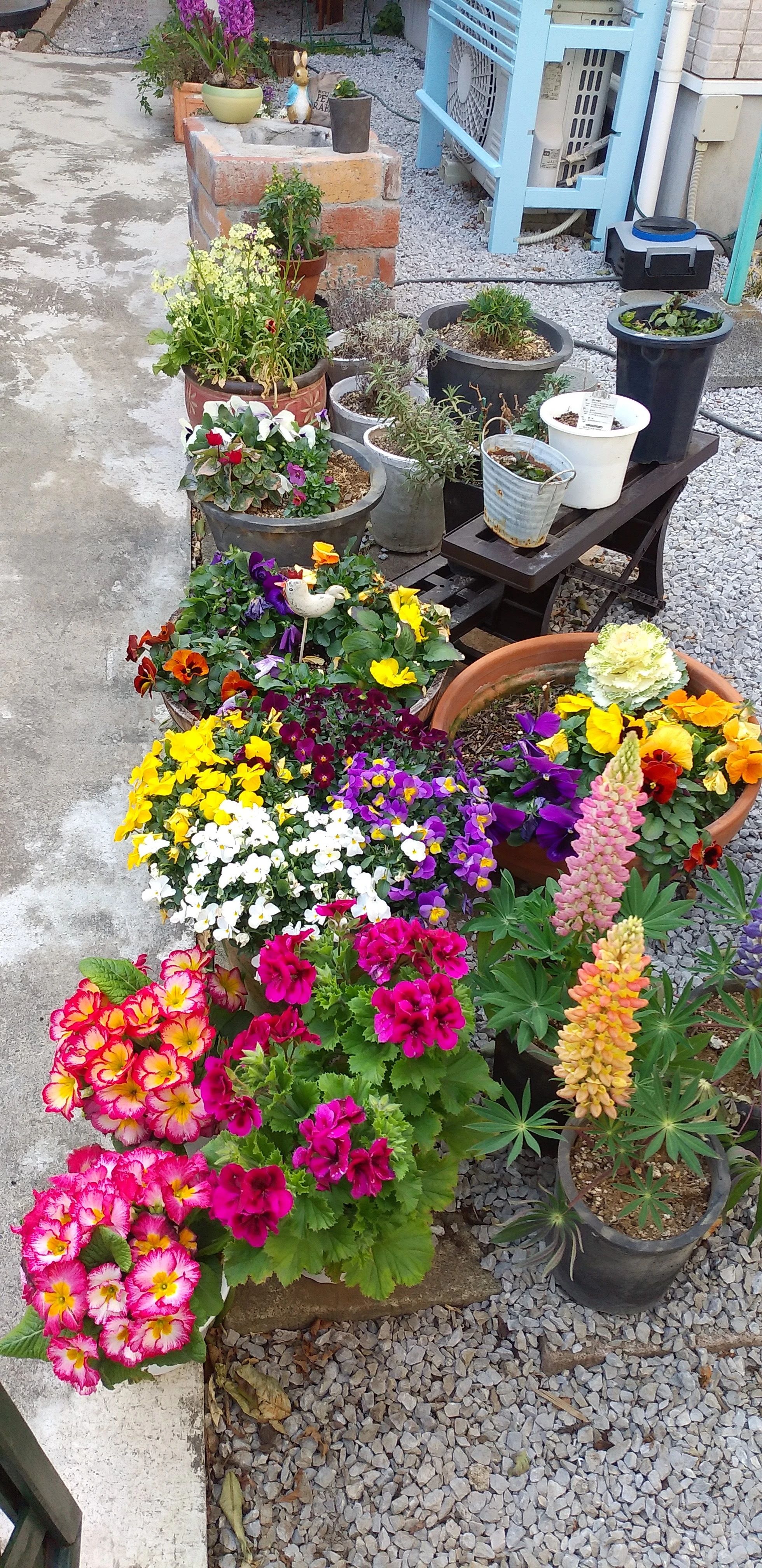 ひめたけピアノ・リトミック教室 北沢教室のサムネイル画像 3