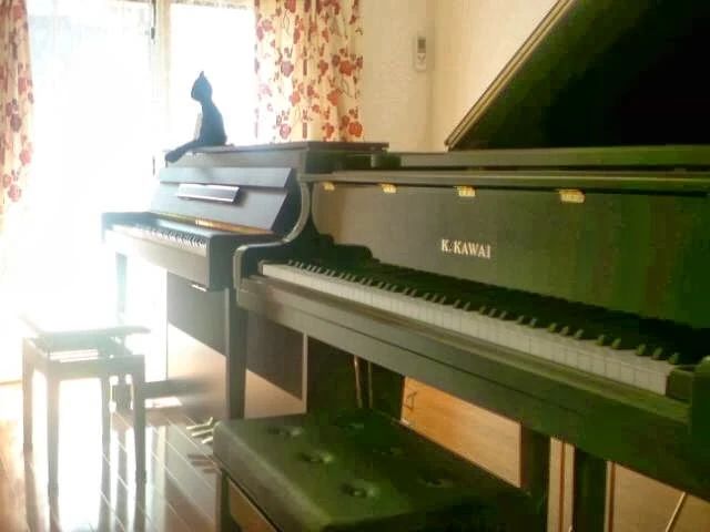 ミュズィックミラベル ピアノ 北新宿教室のメイン画像