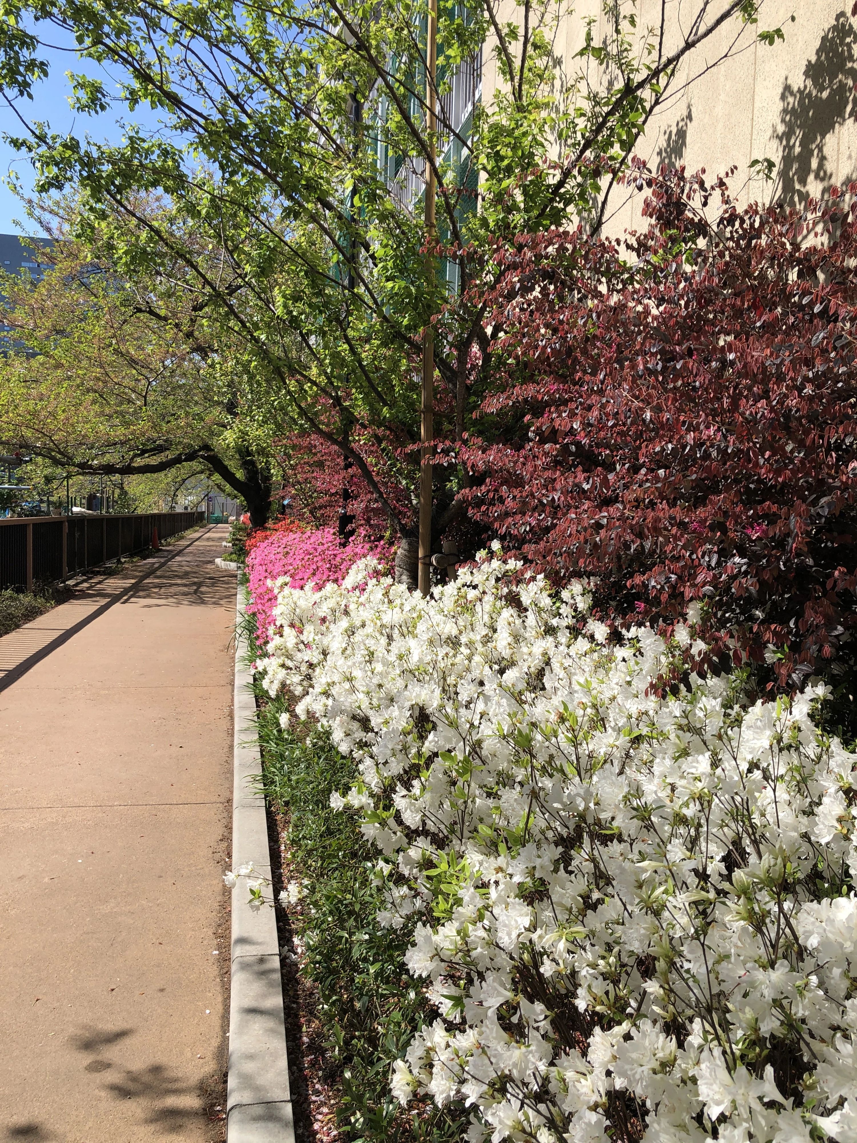 カノン音楽教室 ピアノ 湊教室のサムネイル画像 5