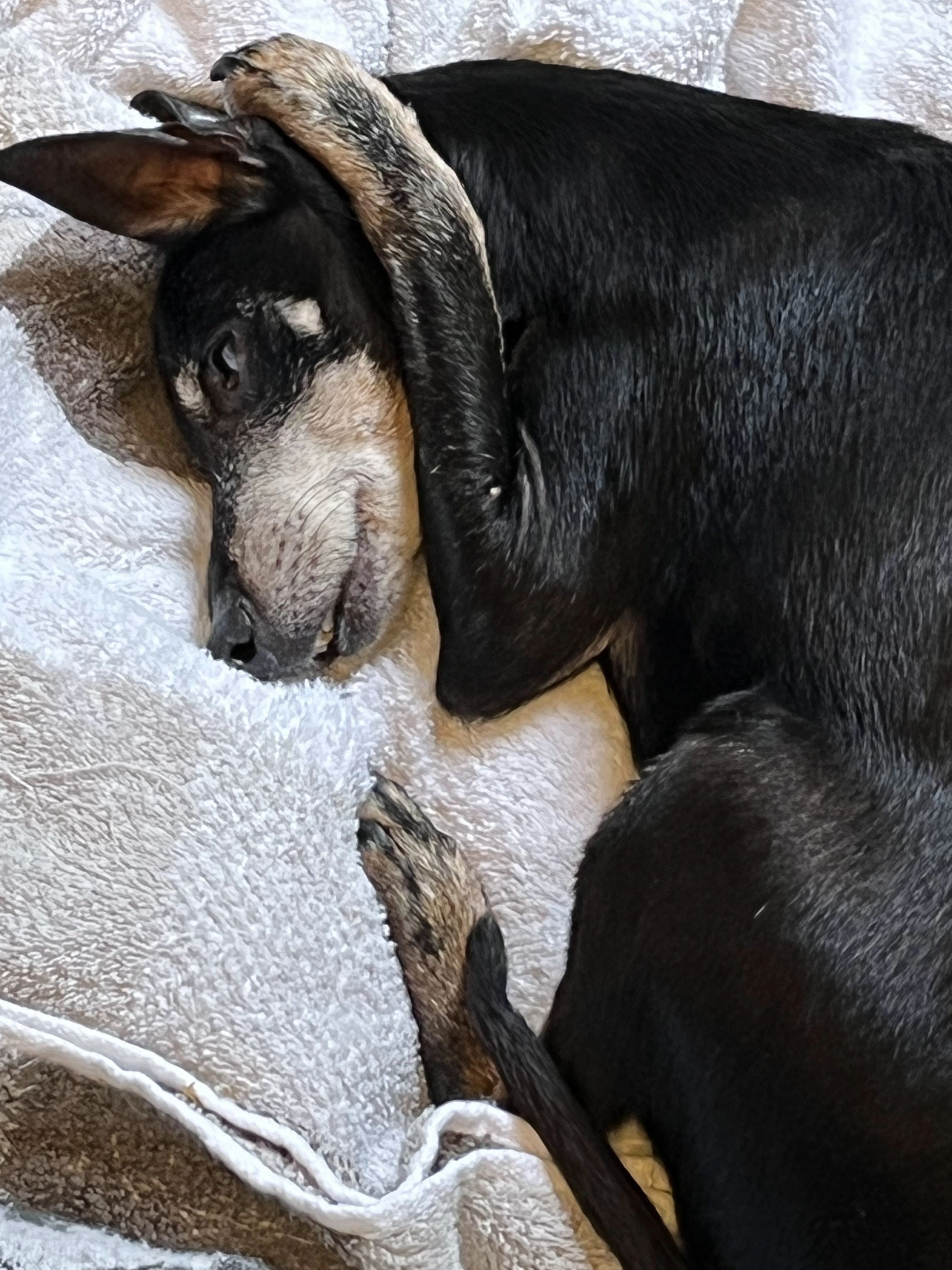 南荻窪ドルチェ・ピアノ・ストゥーディオ 南荻窪教室のメイン画像