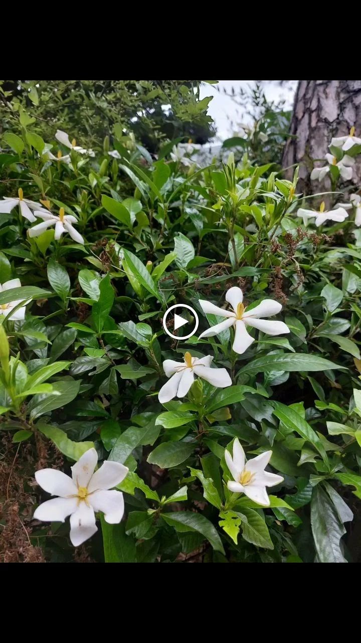 松倉音楽教室 ピアノ 三田教室のメイン画像