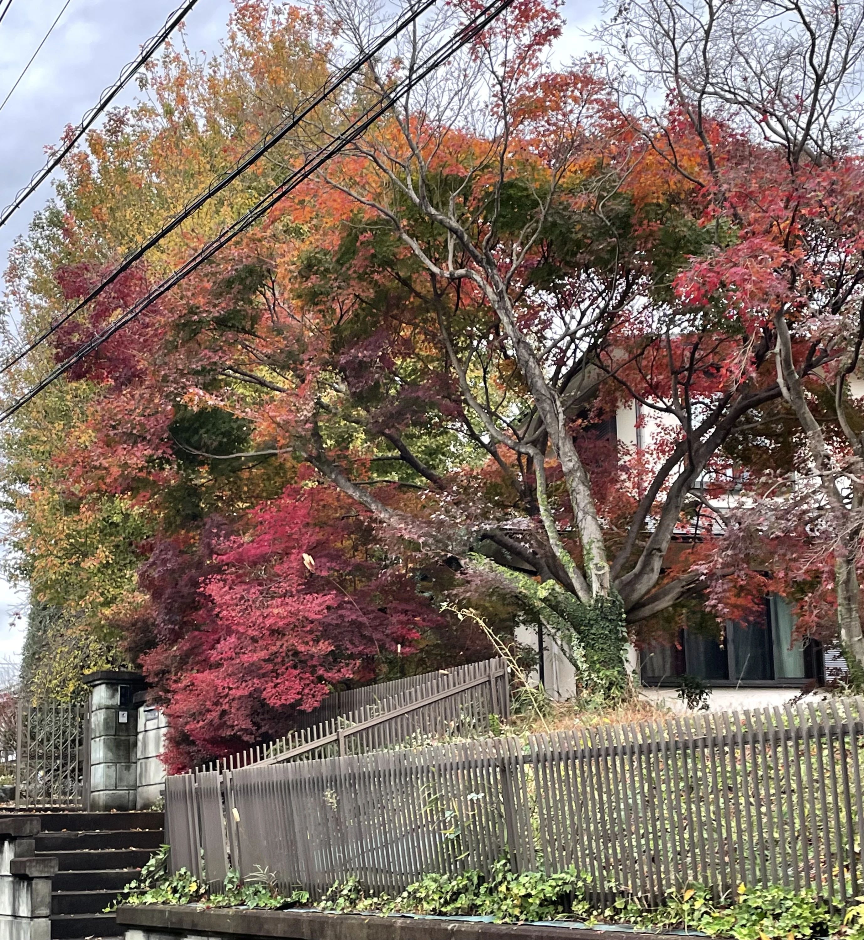 鳶尾ピアノ教室 鳶尾教室のサムネイル画像 4