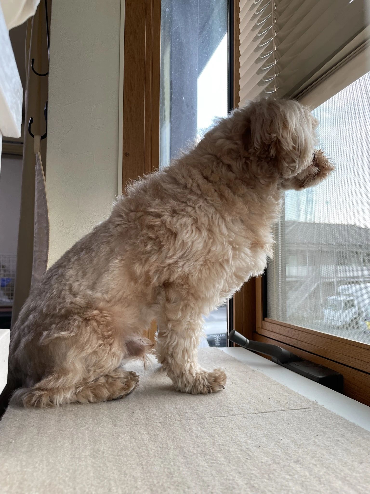 なりしま音楽教室 ピアノ 上末吉教室のメイン画像