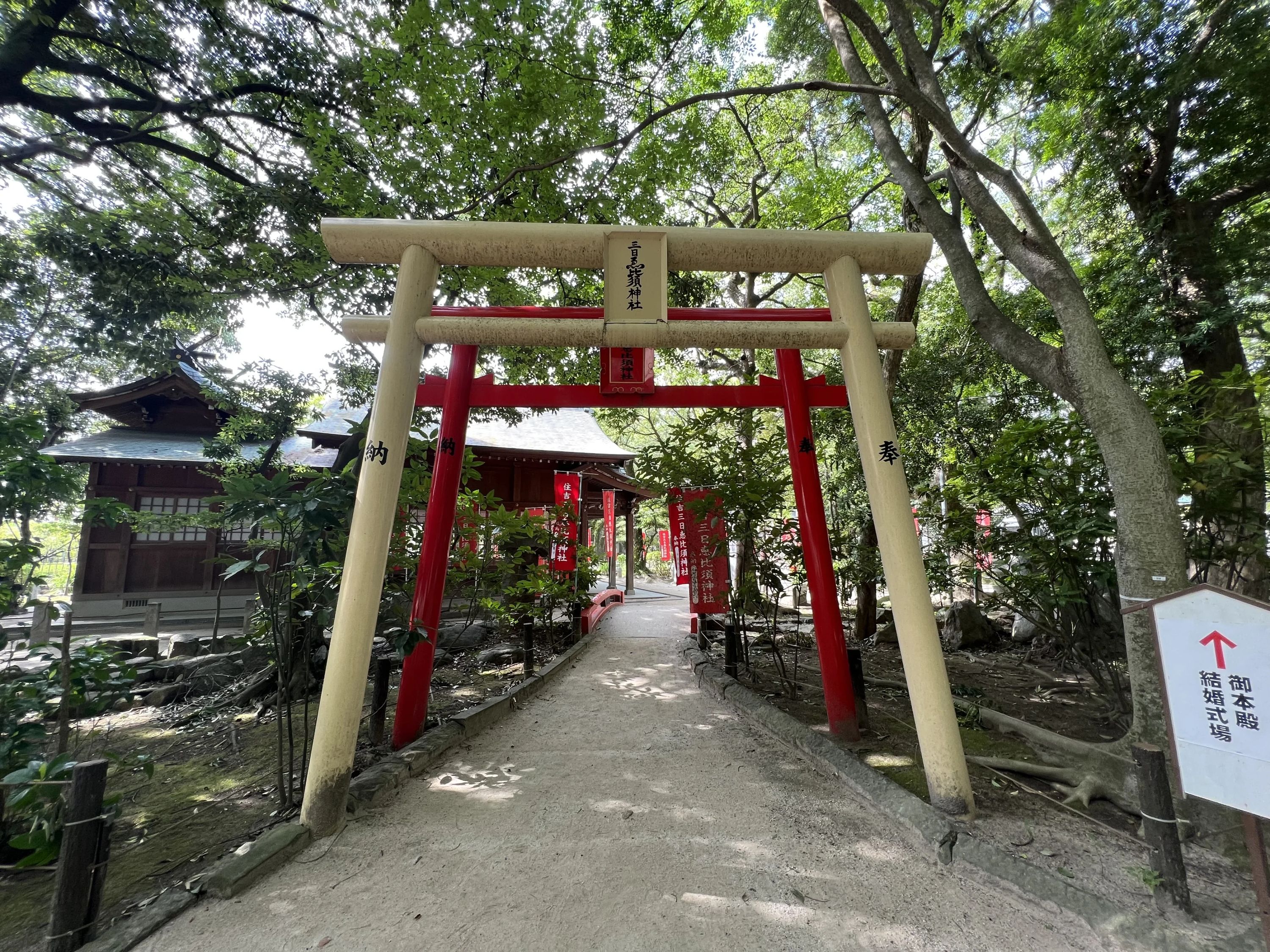 harmonie(あるもに)音楽教室 ピアノ 小和田教室のサムネイル画像 4