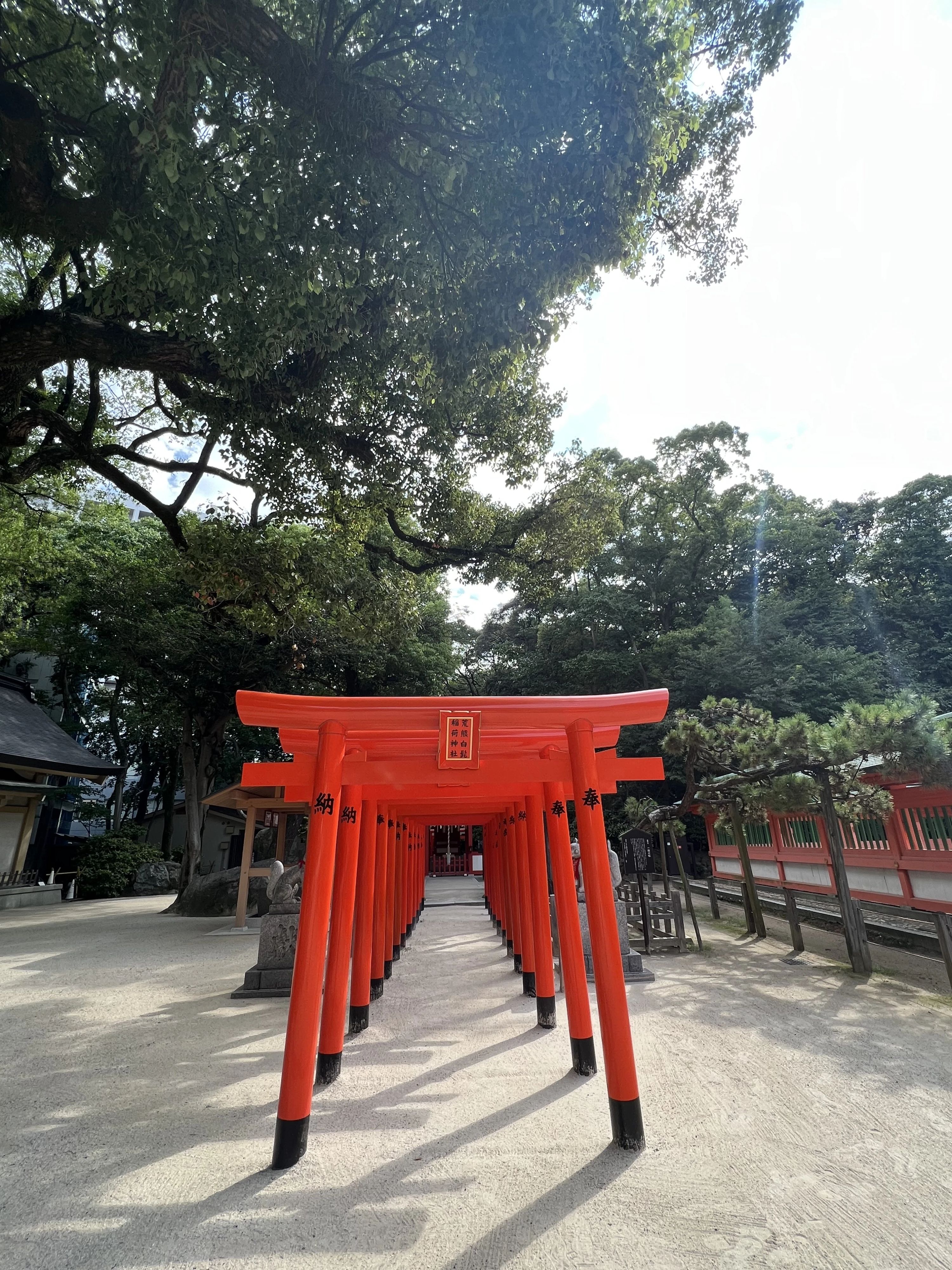 harmonie(あるもに)音楽教室 ピアノ 小和田教室のサムネイル画像 5