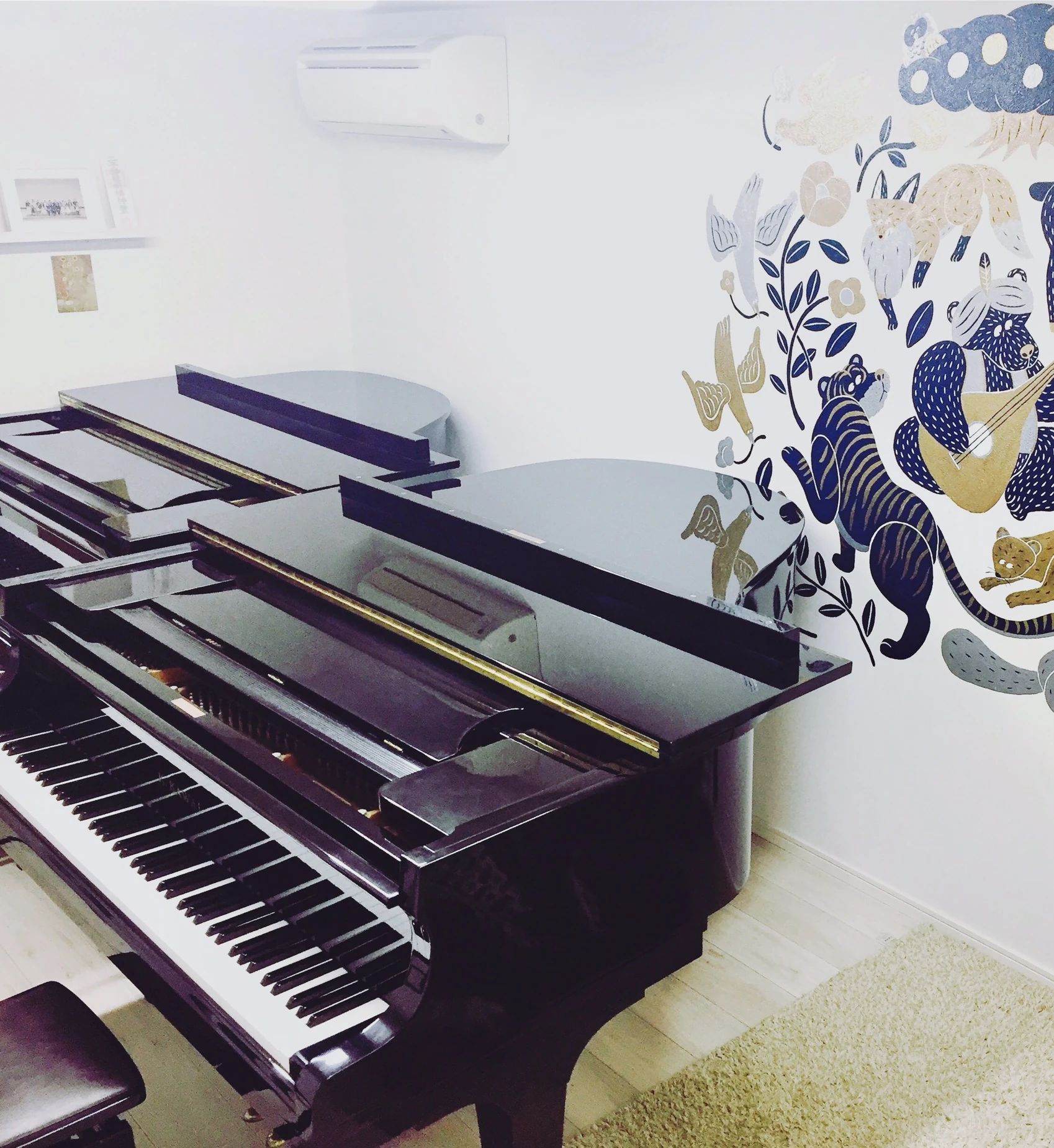 Colza(コルザ) Music School ピアノ 高津教室のメイン画像