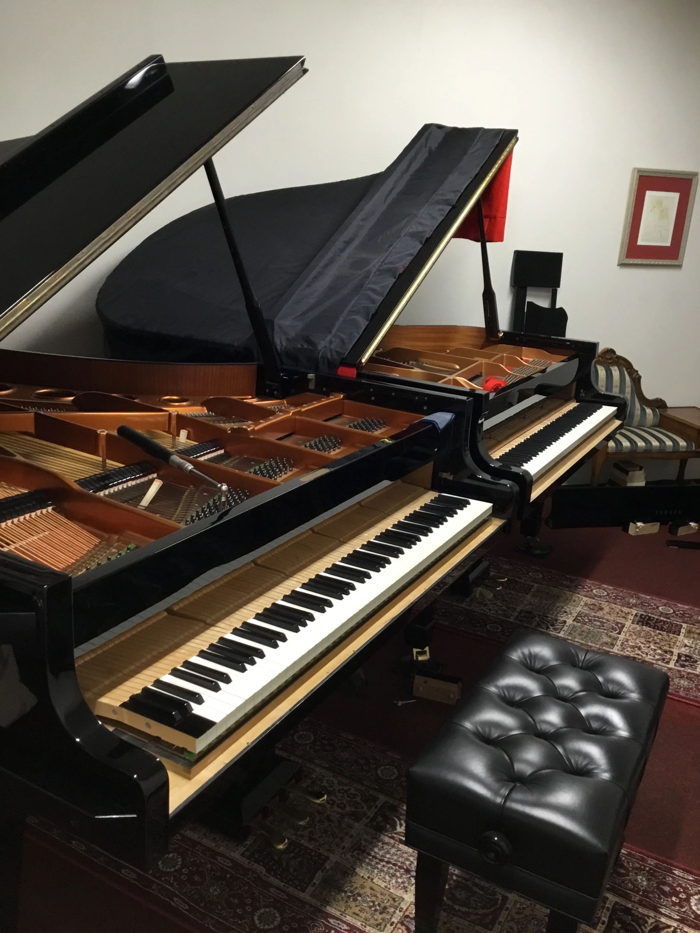 La MUSICA(ラ・ムジカ) ピアノ 古久喜教室のメイン画像