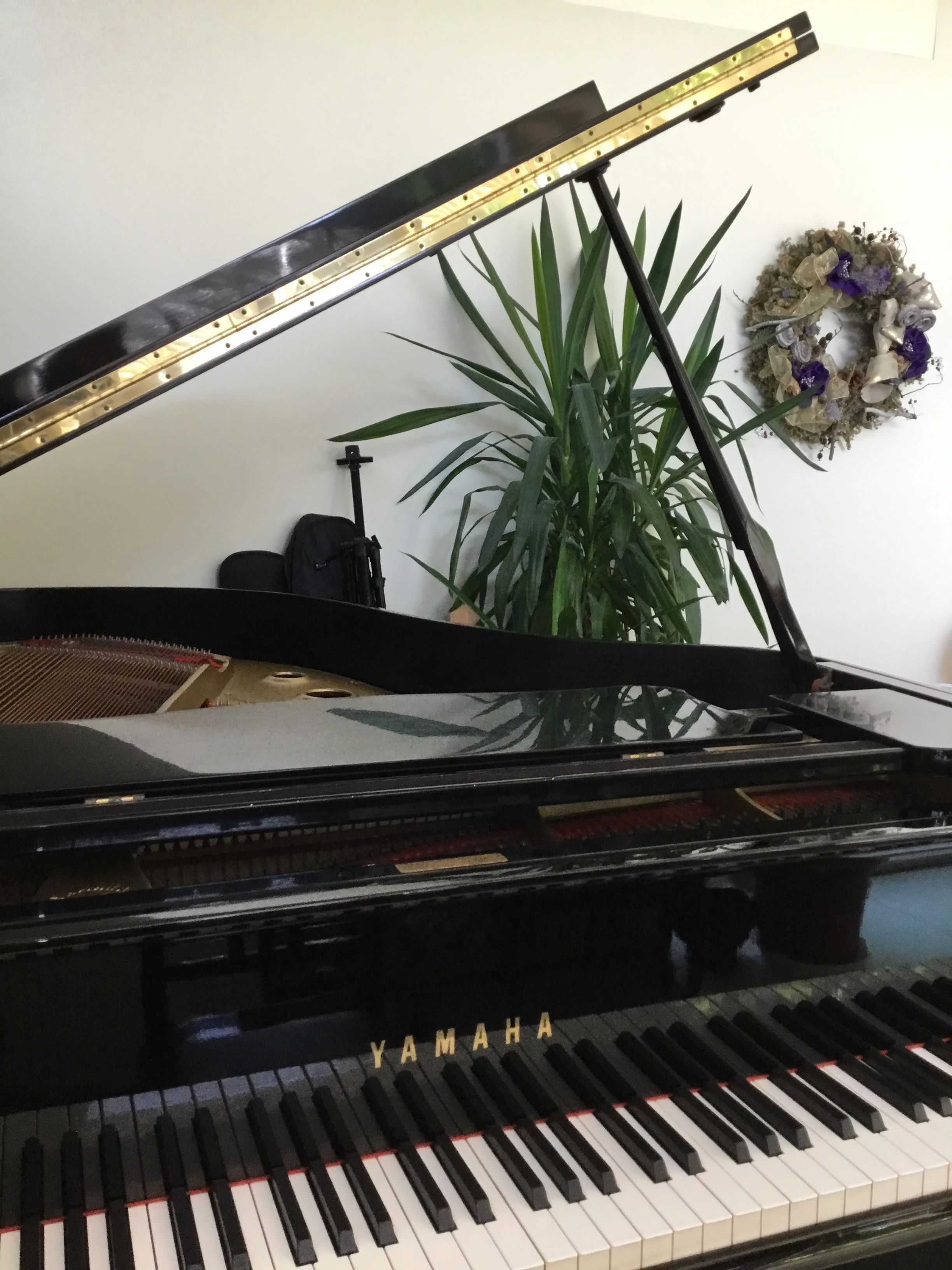 La MUSICA(ラ・ムジカ) ピアノ 古久喜教室のサムネイル画像 2