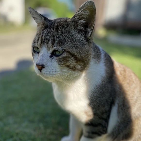 栗原ピアノ教室 武里中野教室のメイン画像