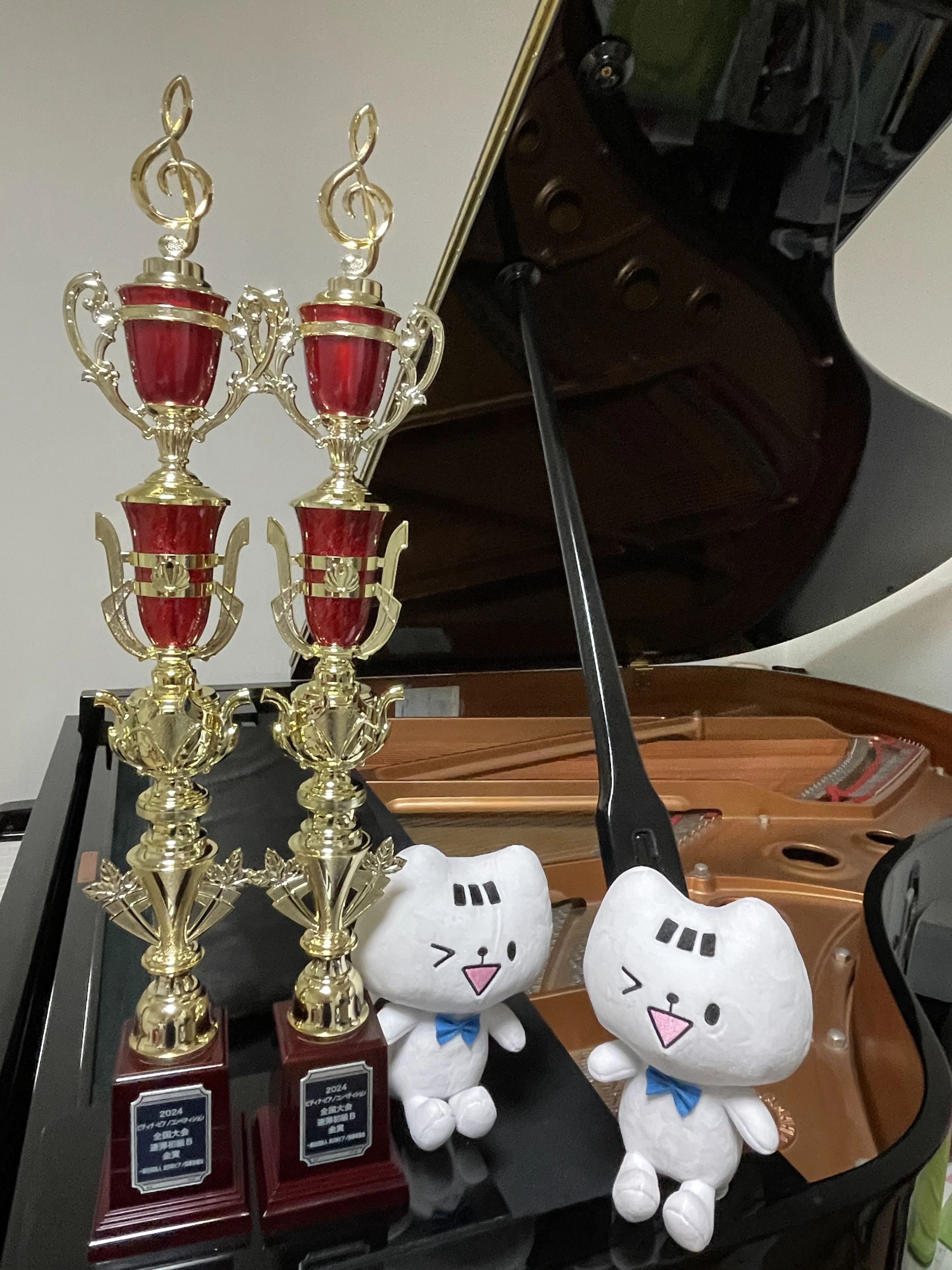 Music garden(ミュージックガーデン) ピアノ 金明町教室のサムネイル画像 5