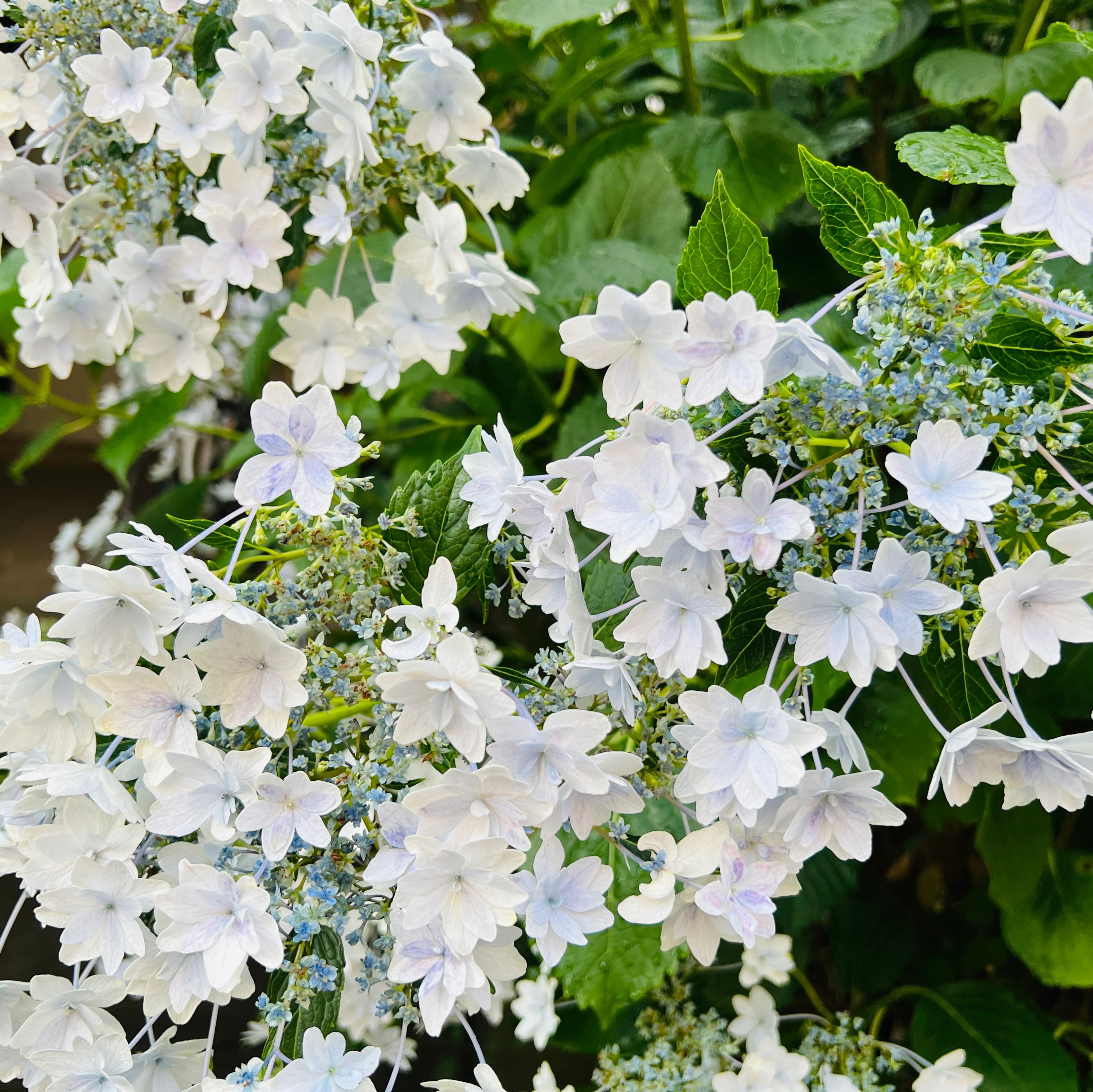 ヒロコ英語ピアノ教室 南浦和教室のメイン画像