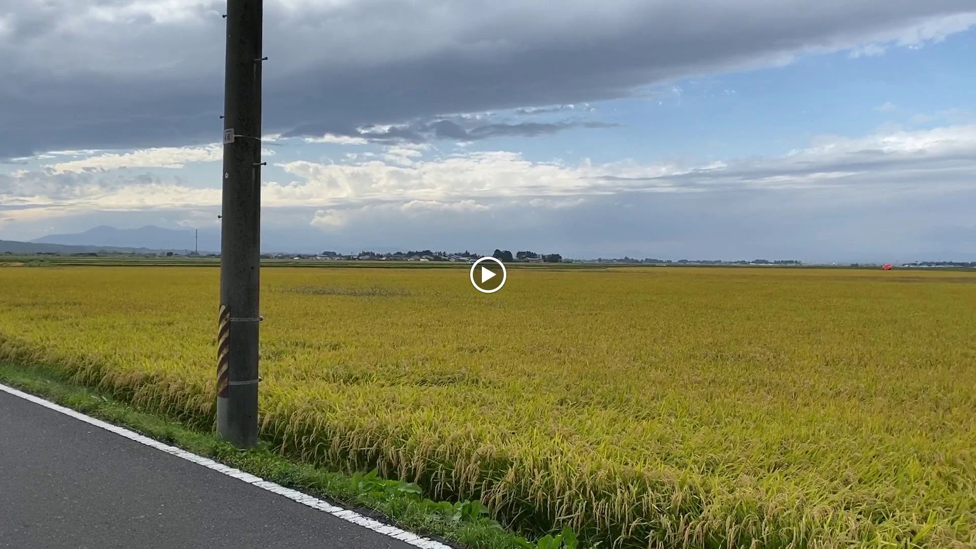 ヒロコ英語ピアノ教室 南浦和教室のサムネイル画像 2